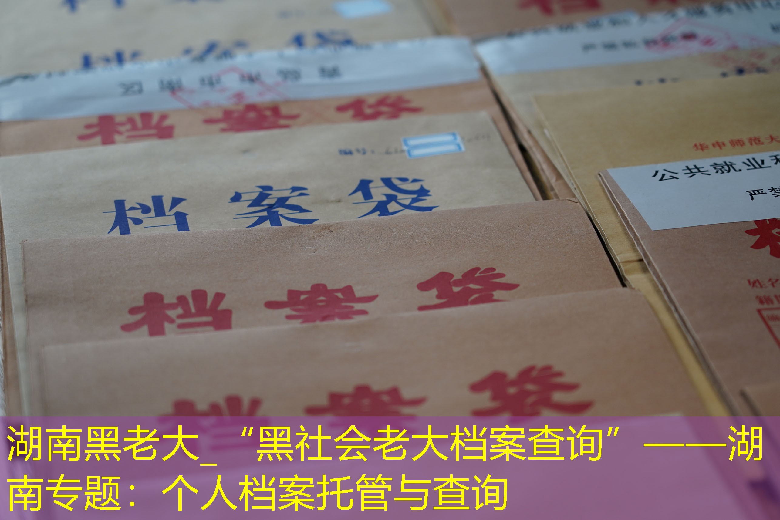 档案查询
