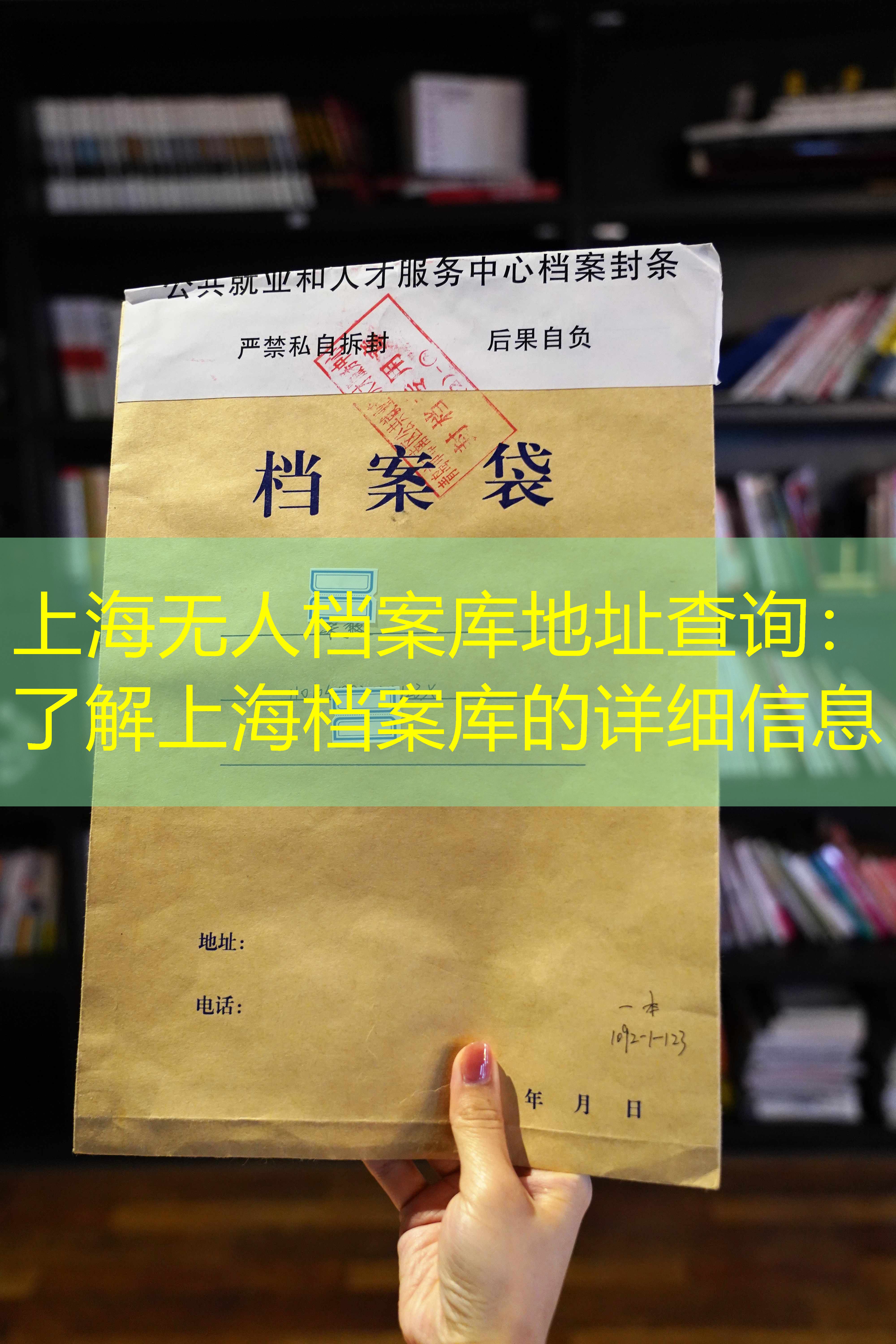 档案查询