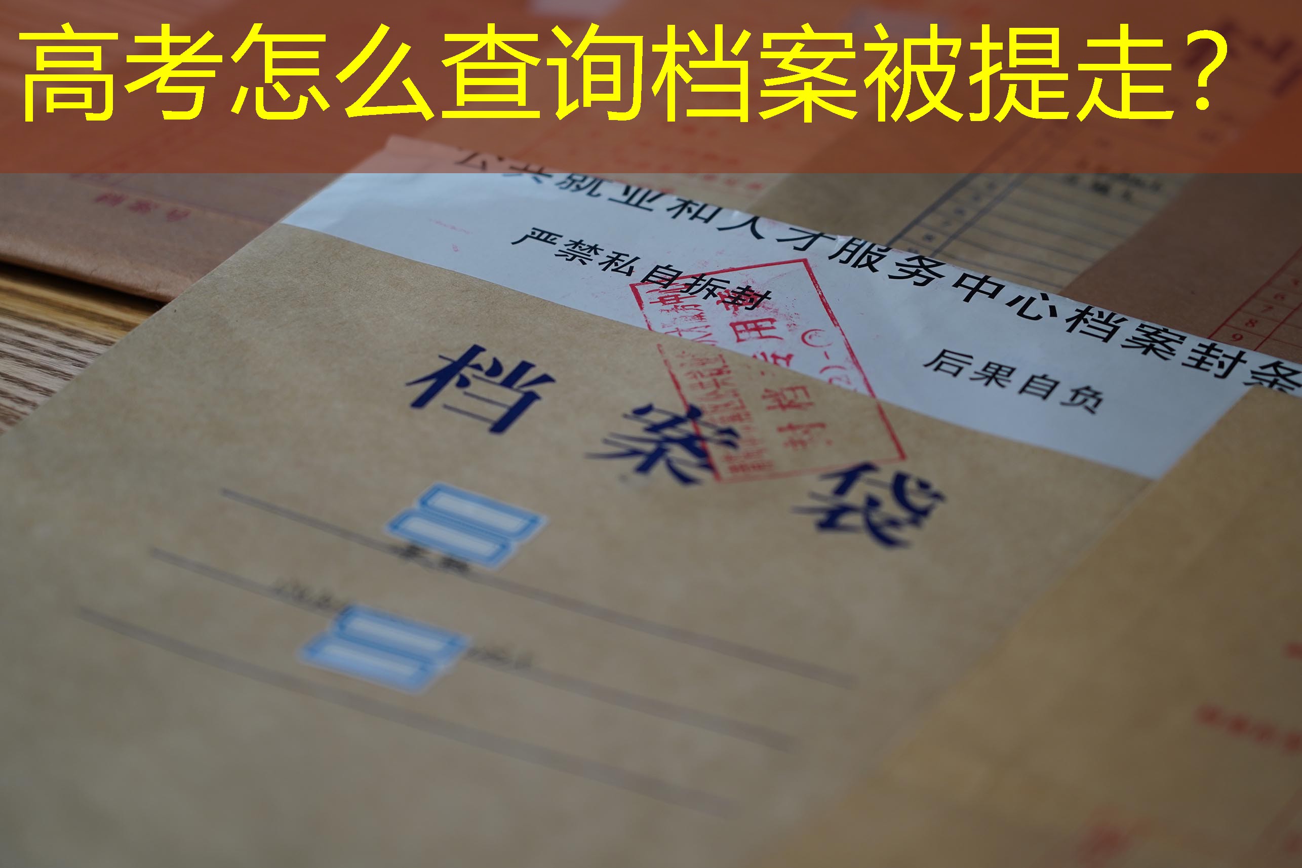 档案查询