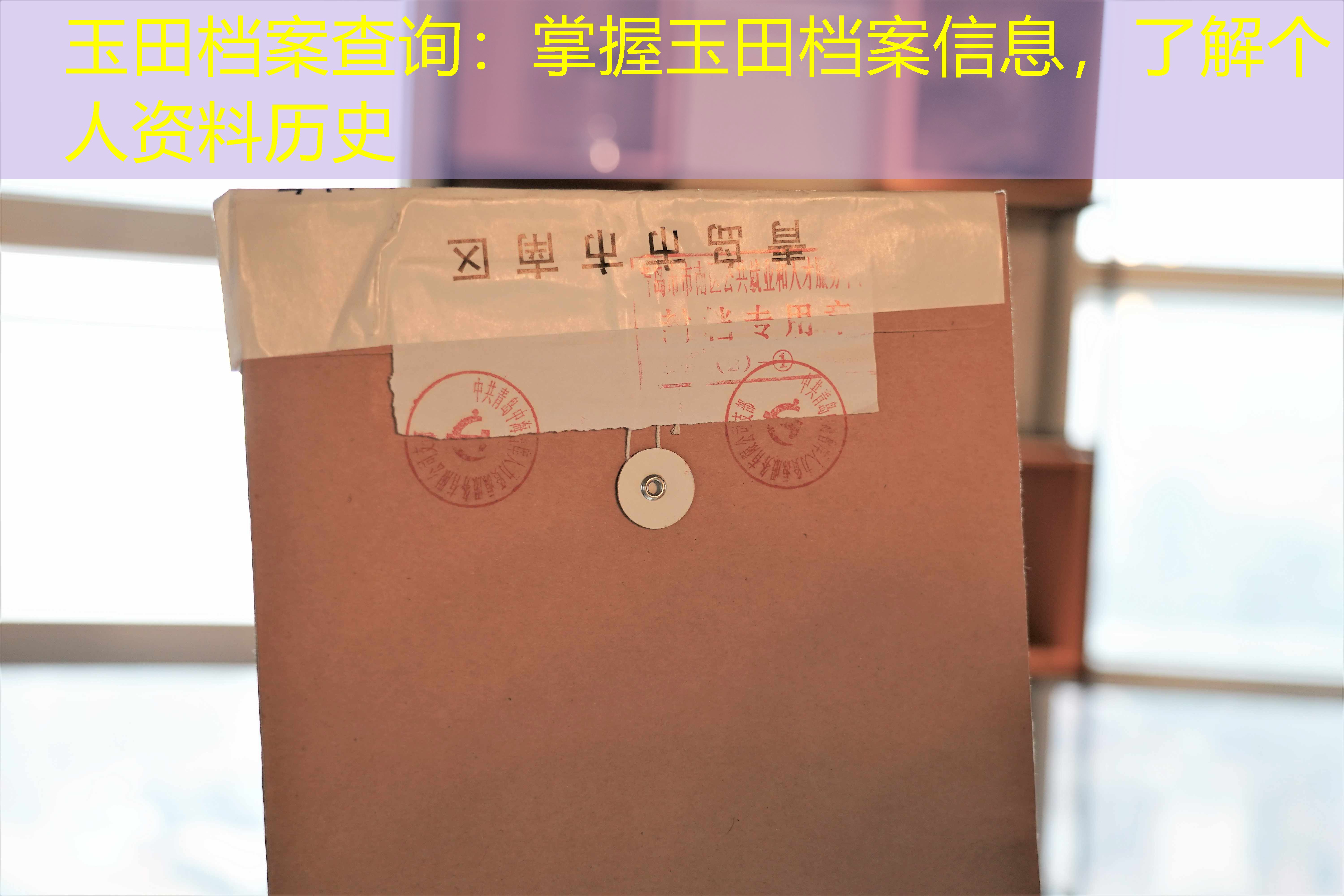 档案查询
