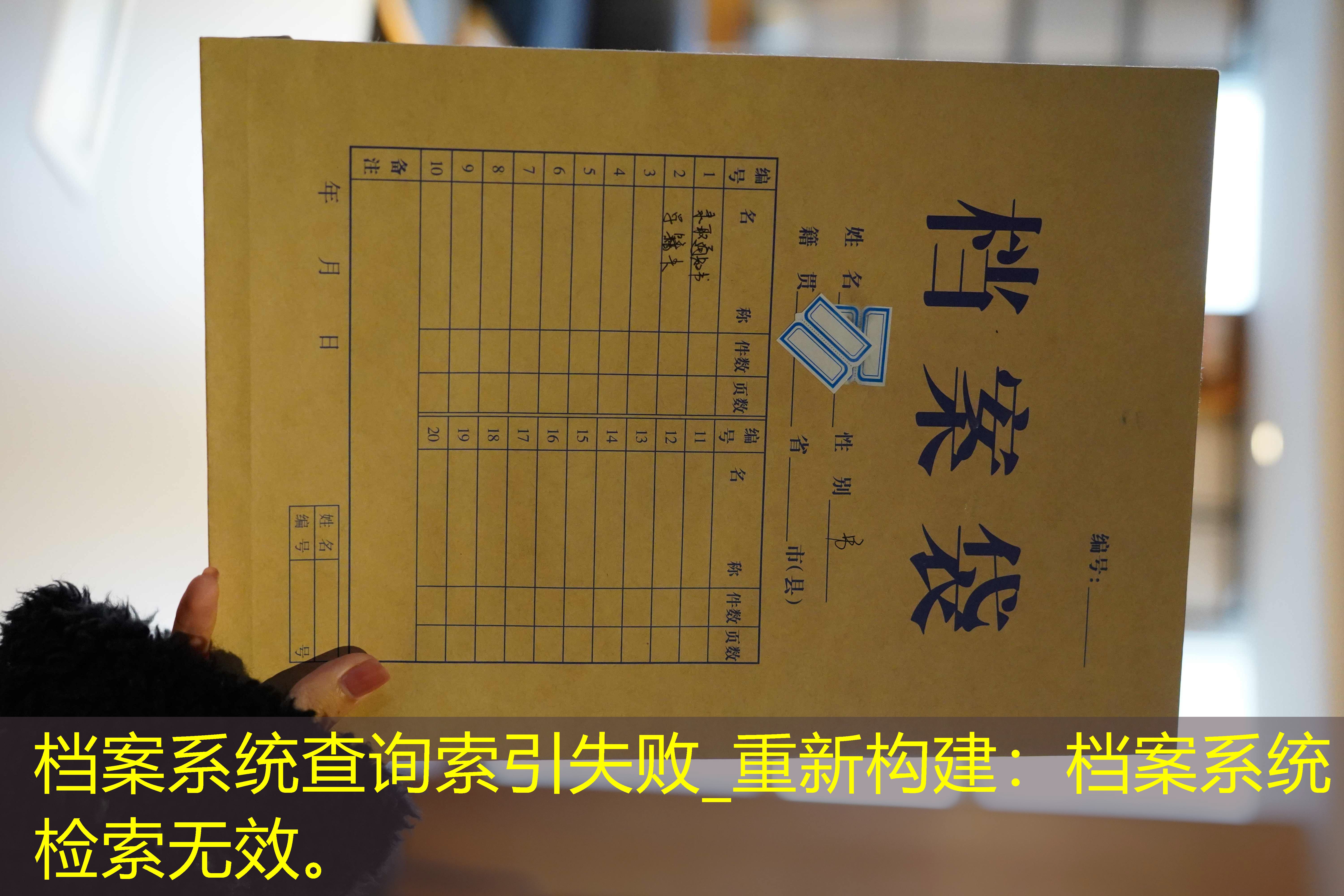 档案查询