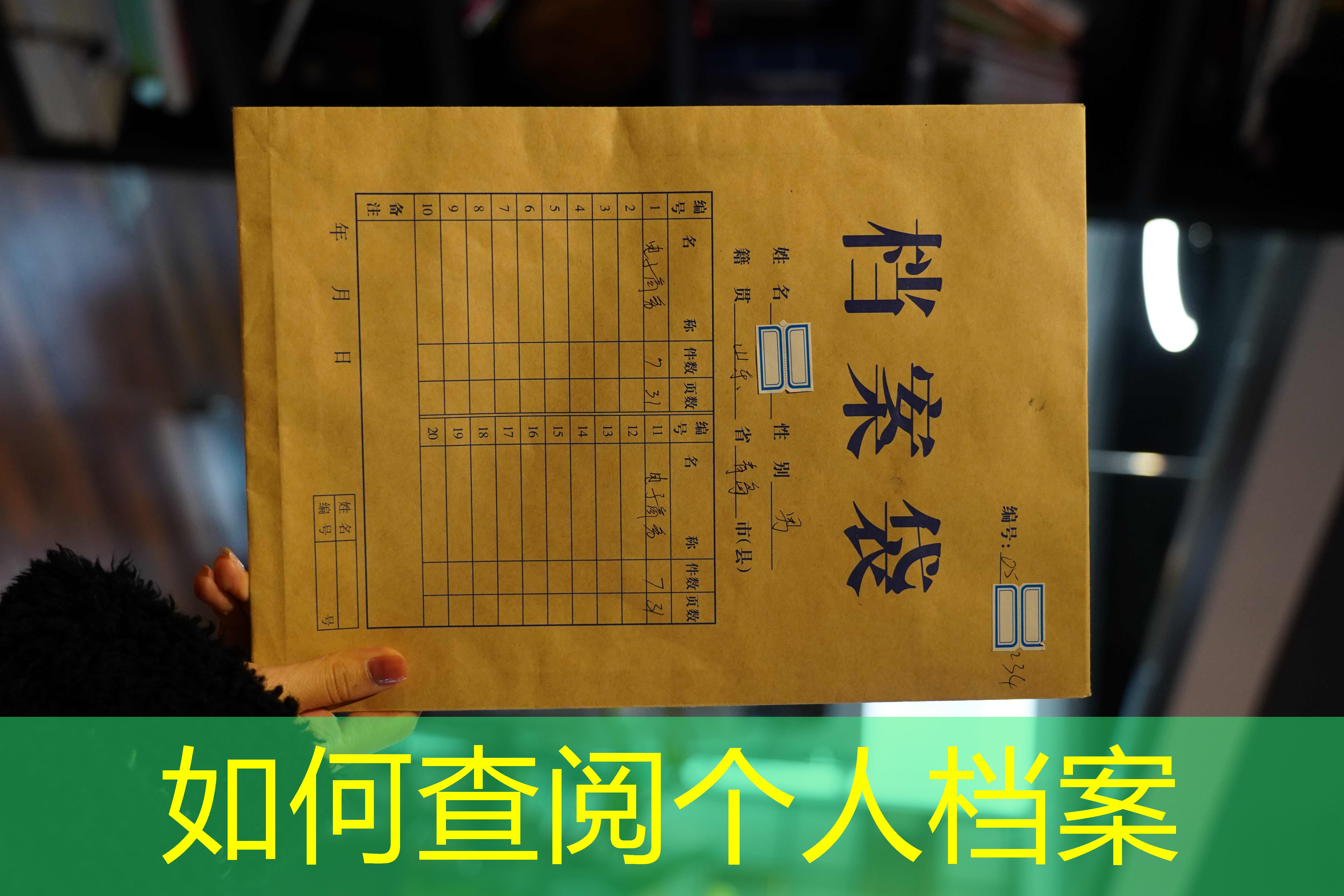 档案查询