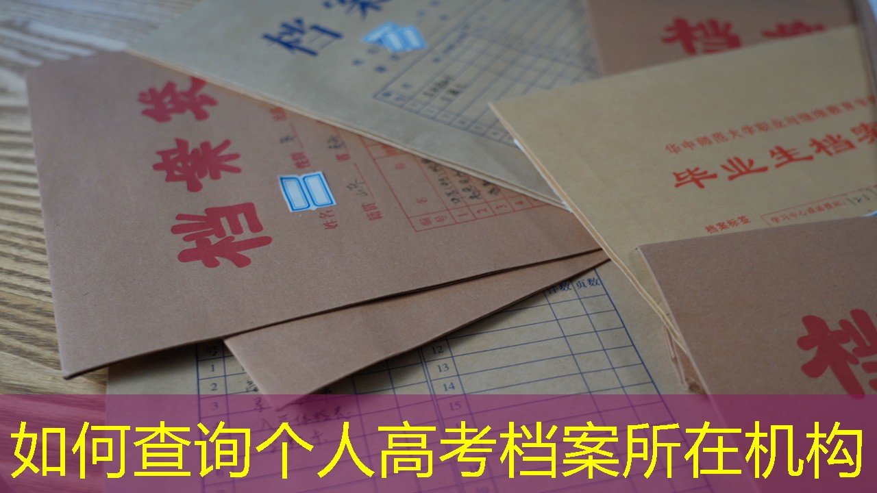 档案查询