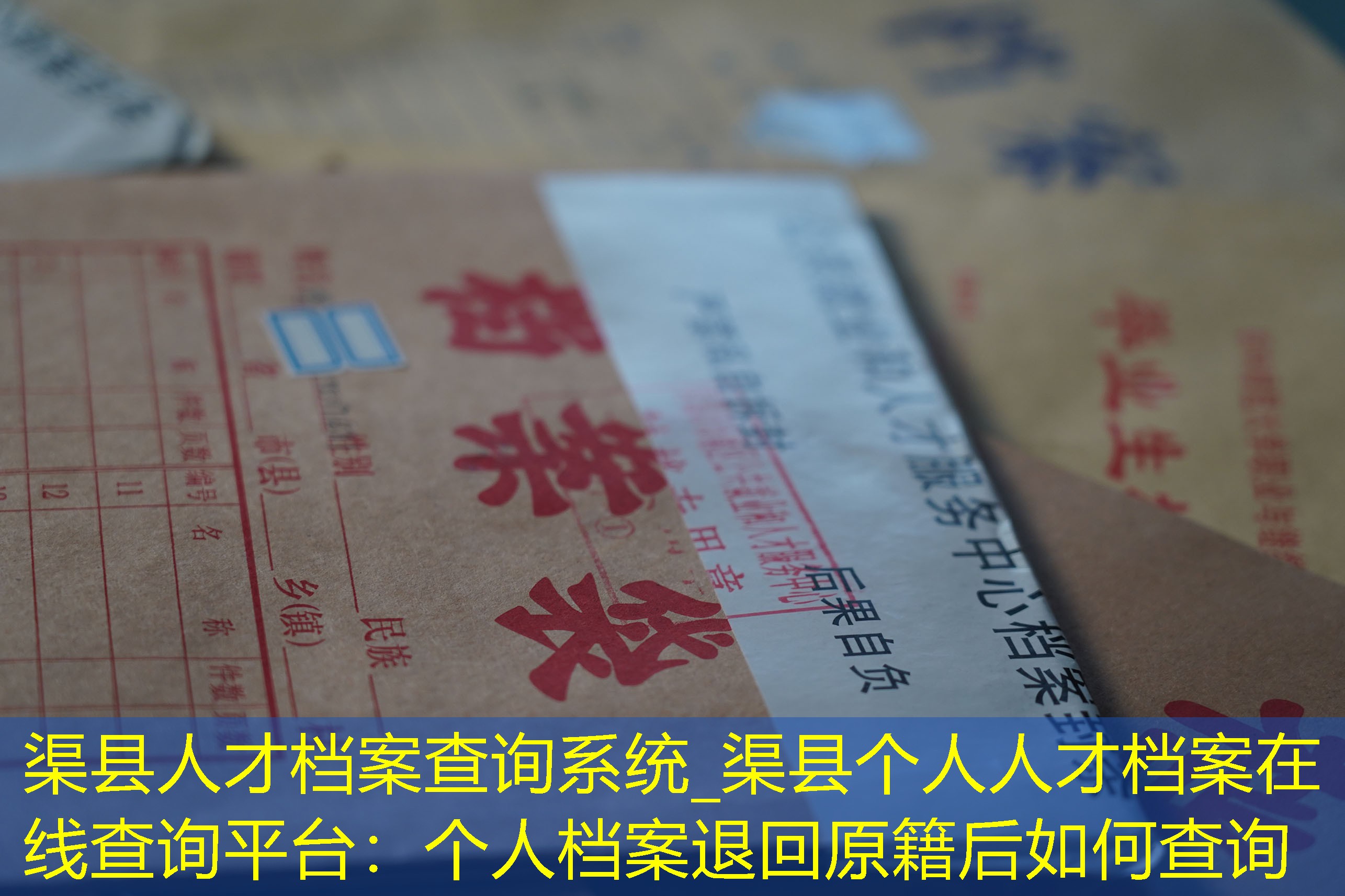档案查询