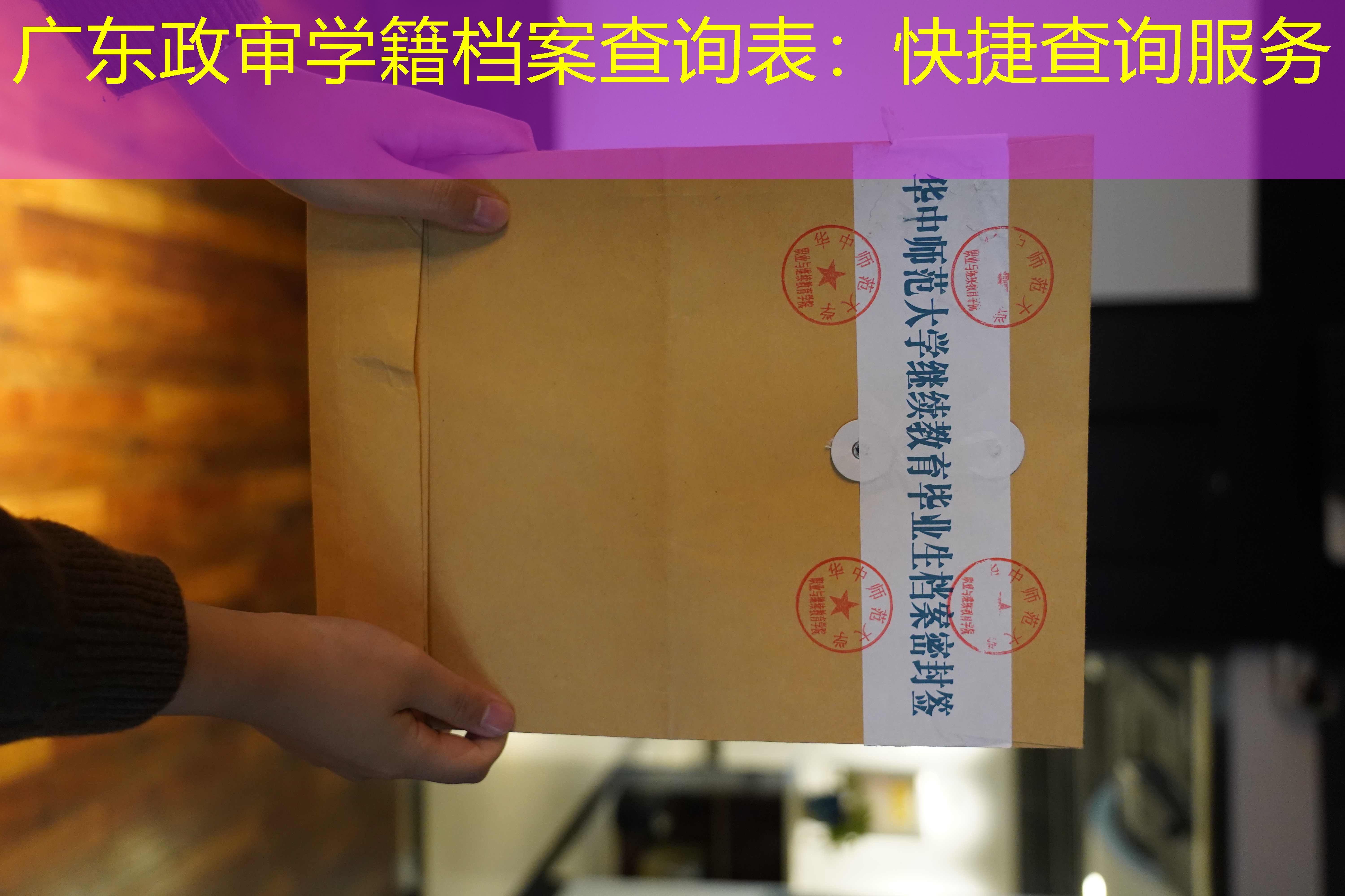 档案查询