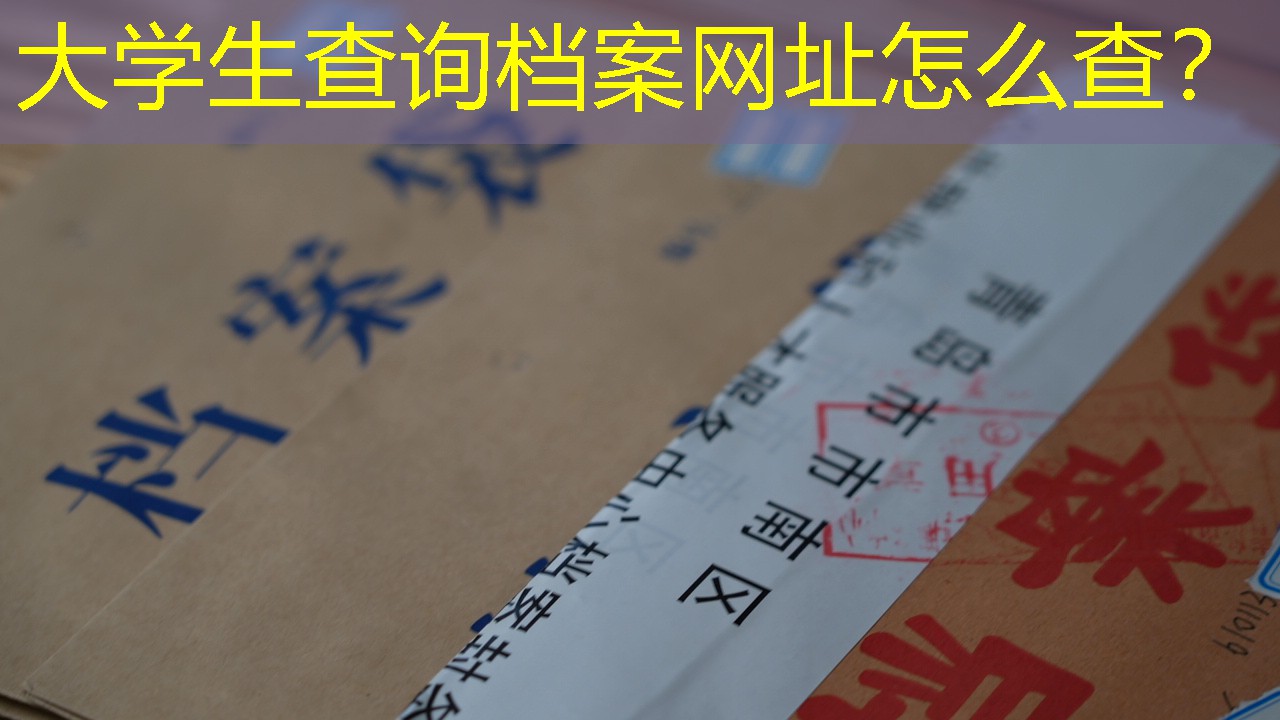 档案查询