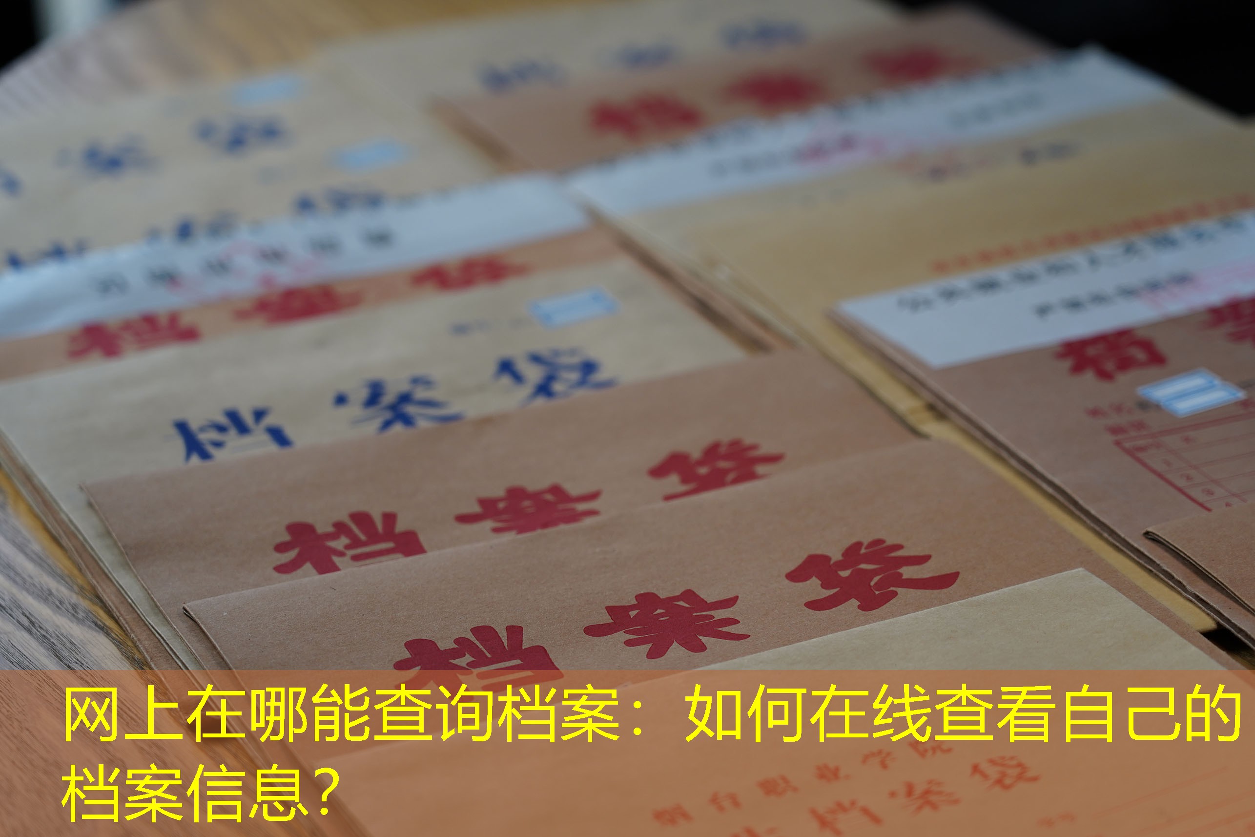 档案查询