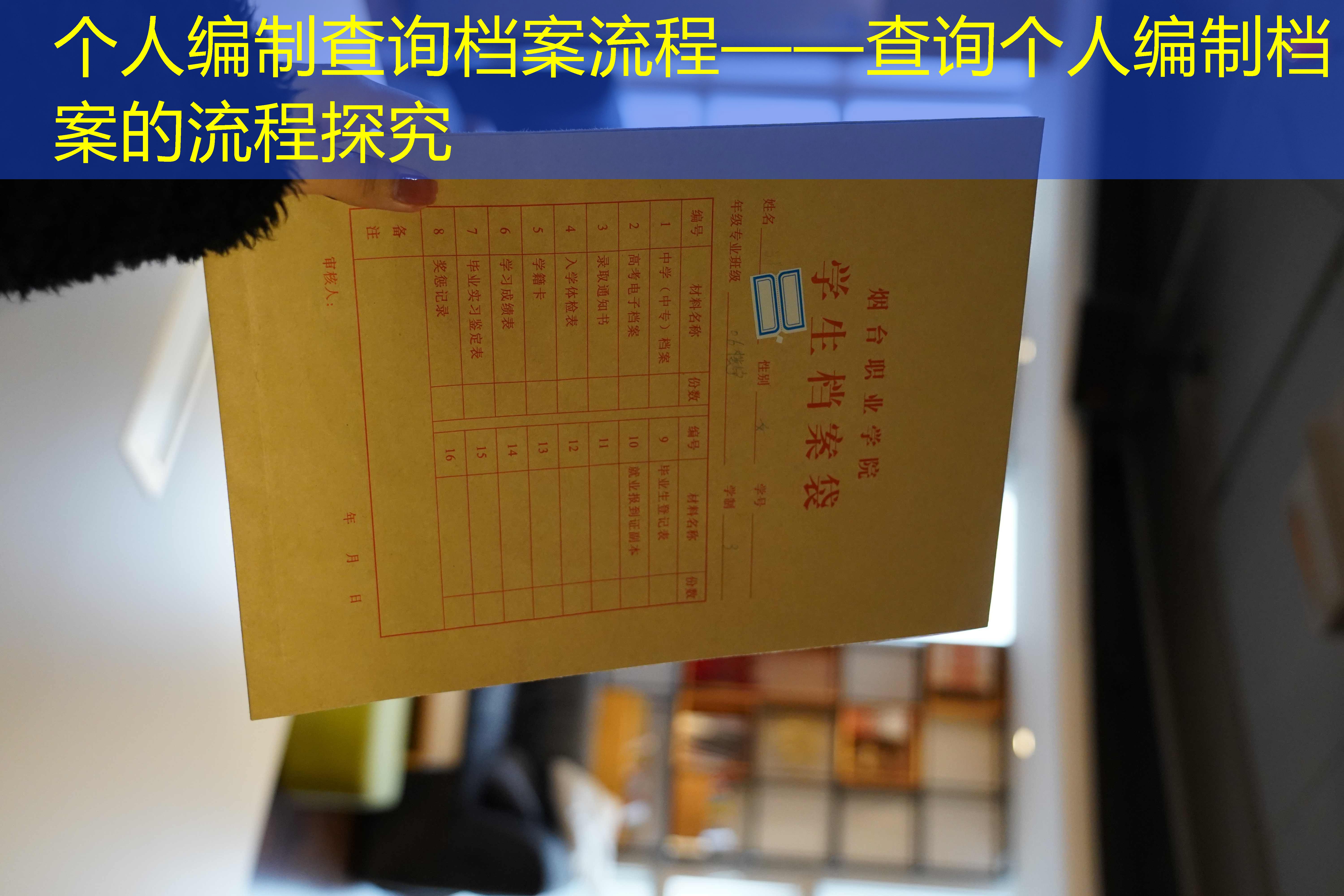 档案查询