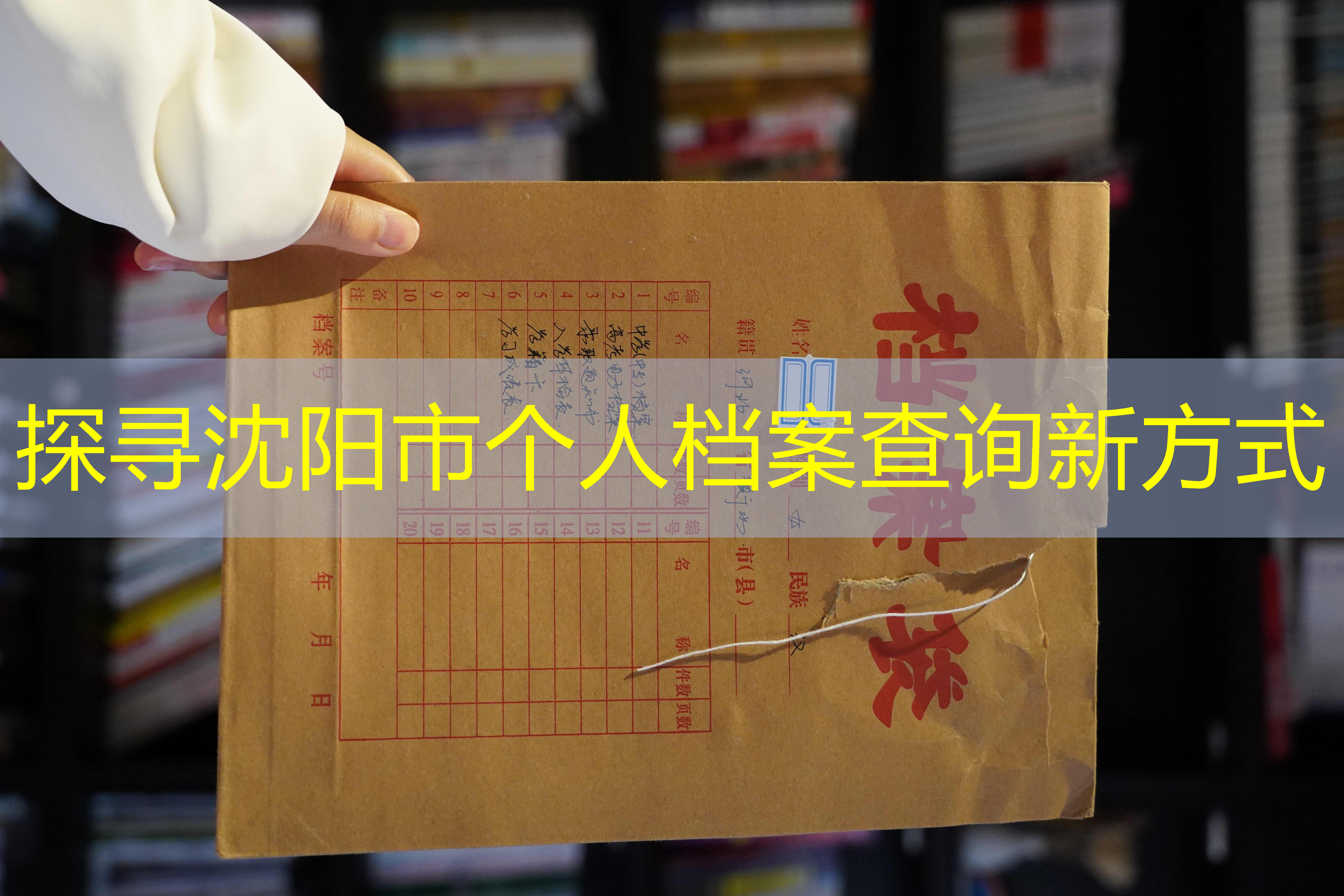 档案查询