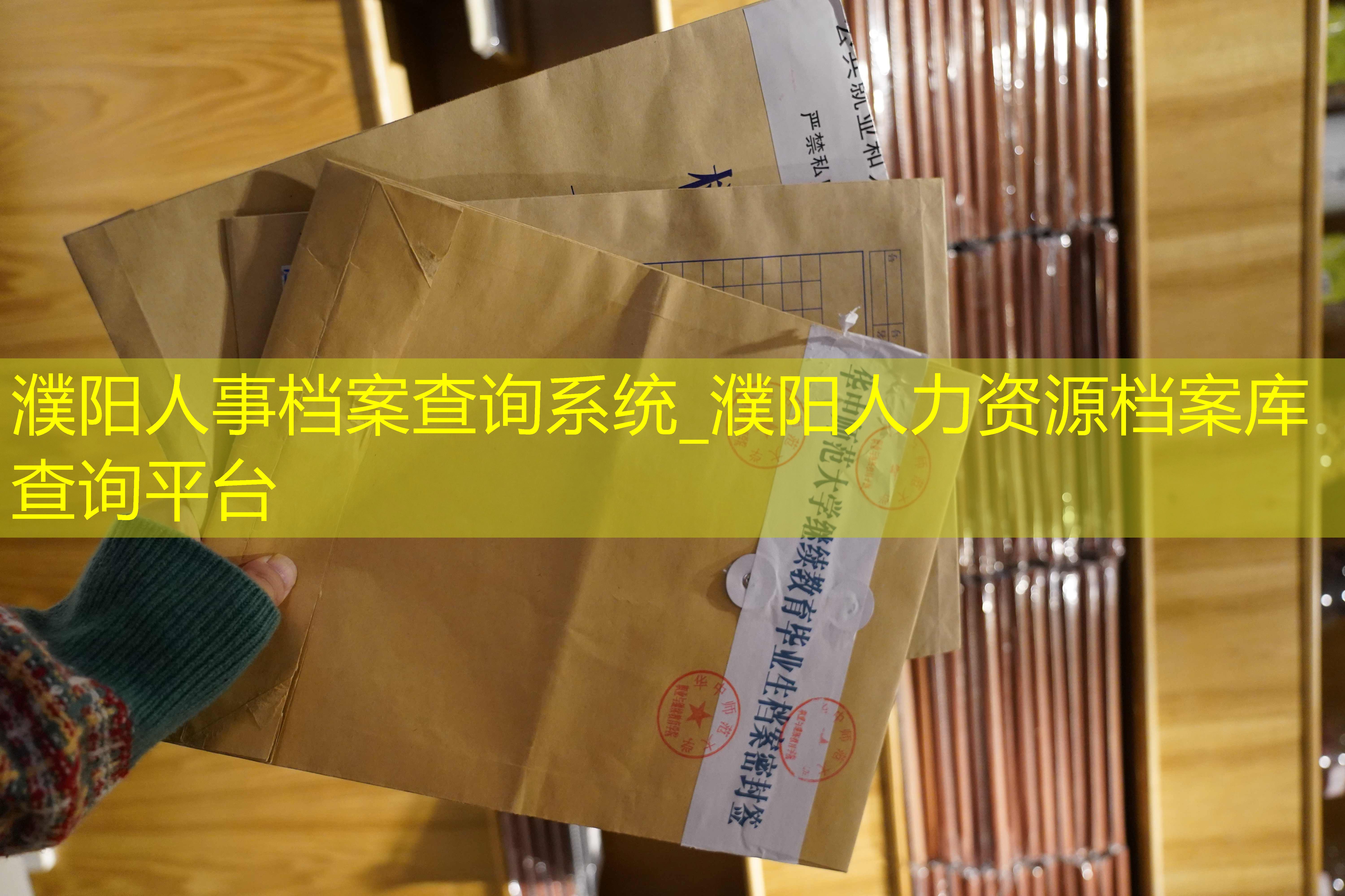 档案查询