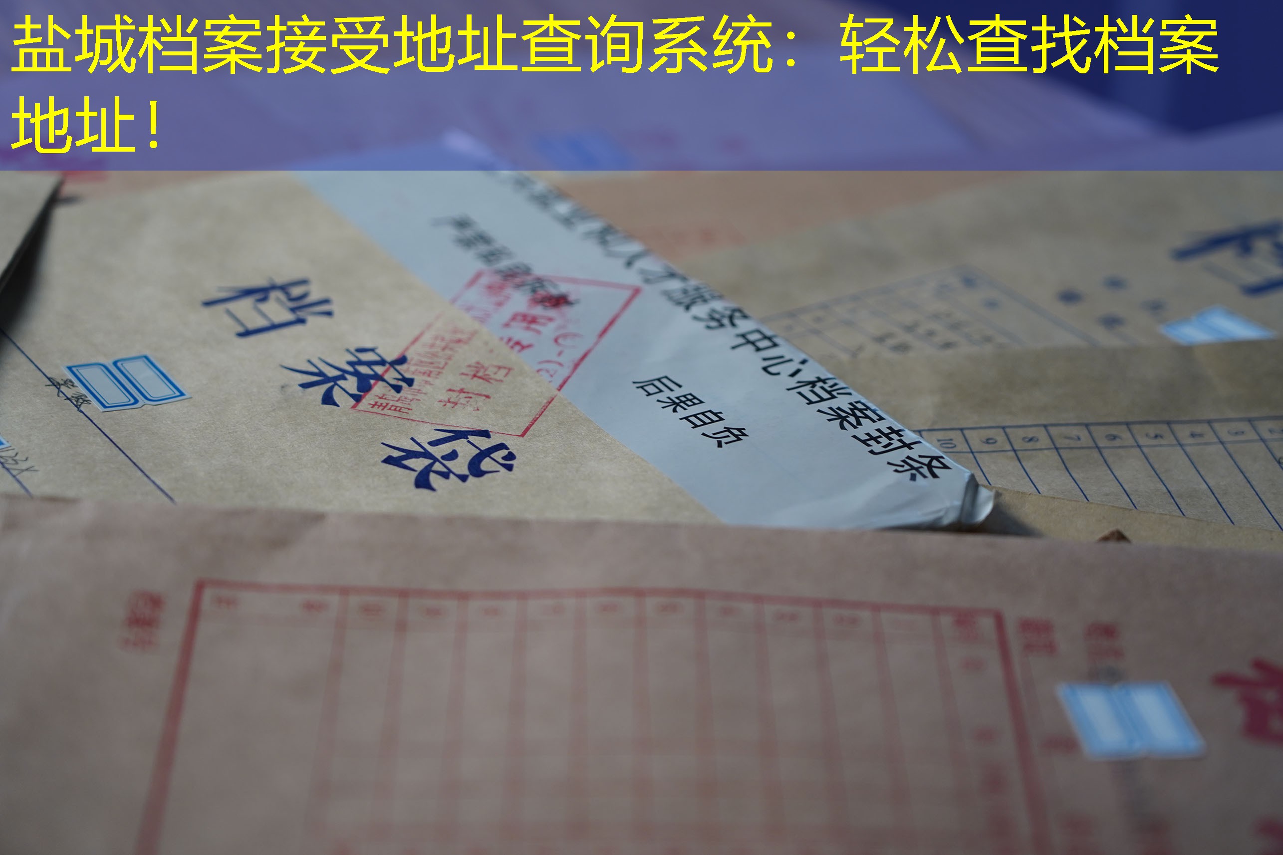 档案查询