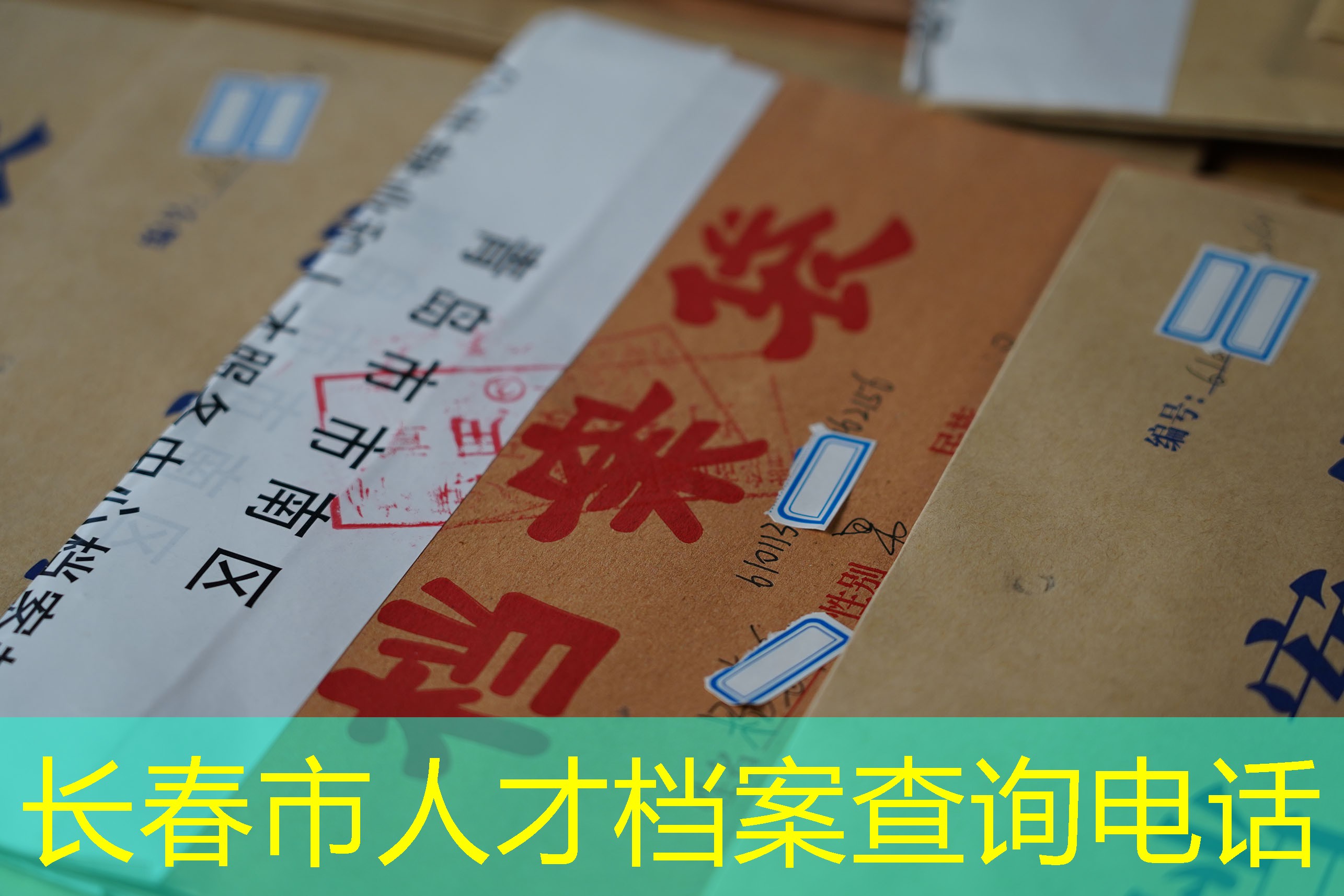 档案查询