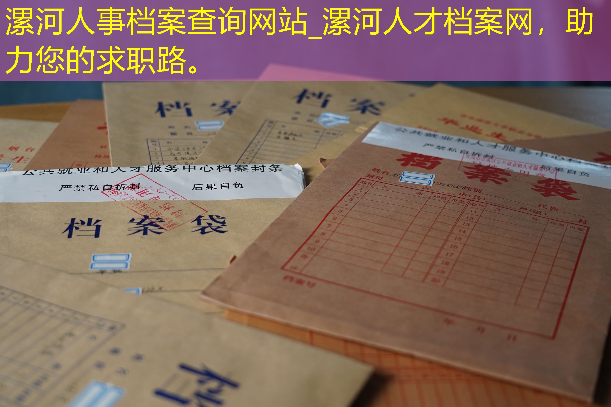档案查询