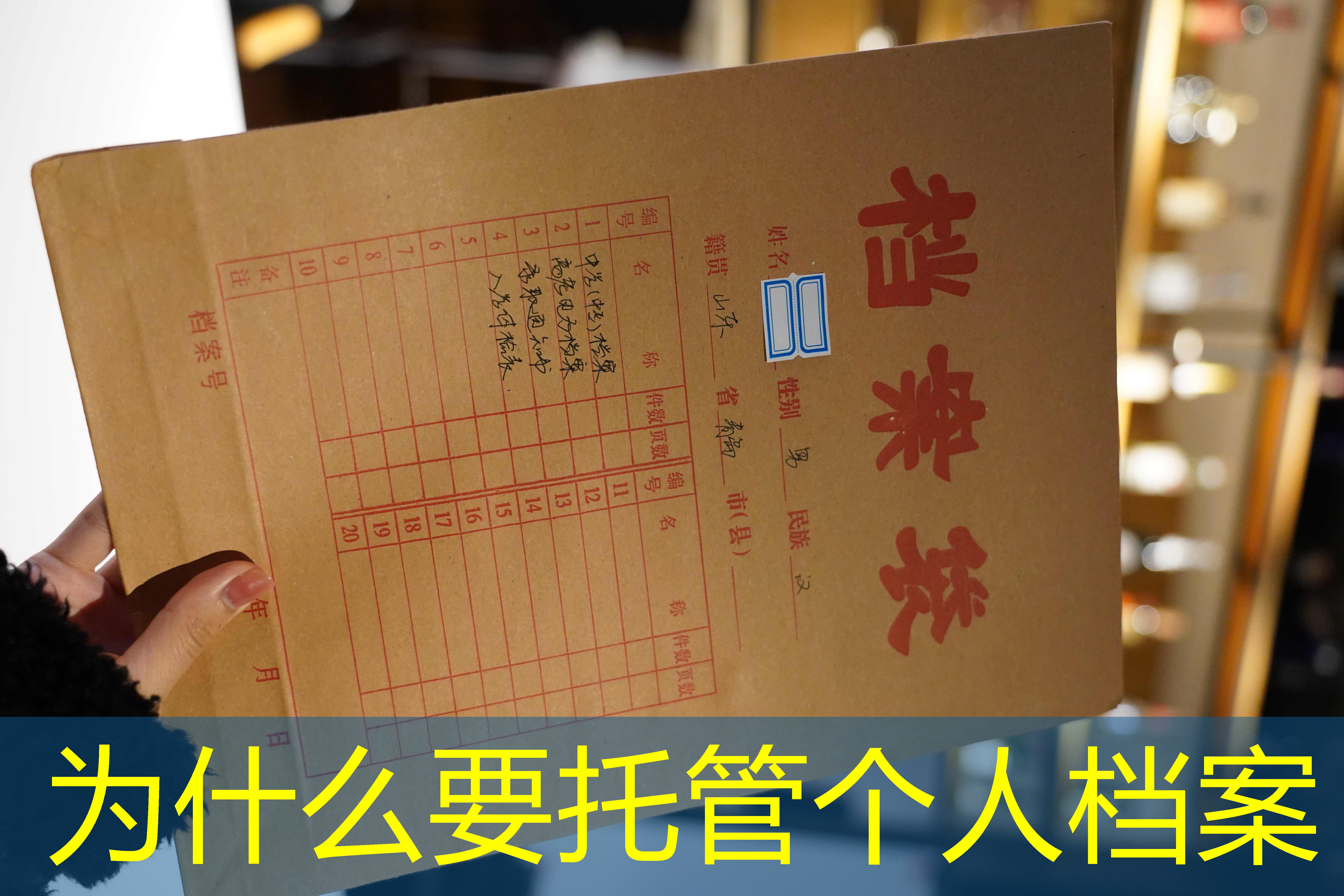 档案查询