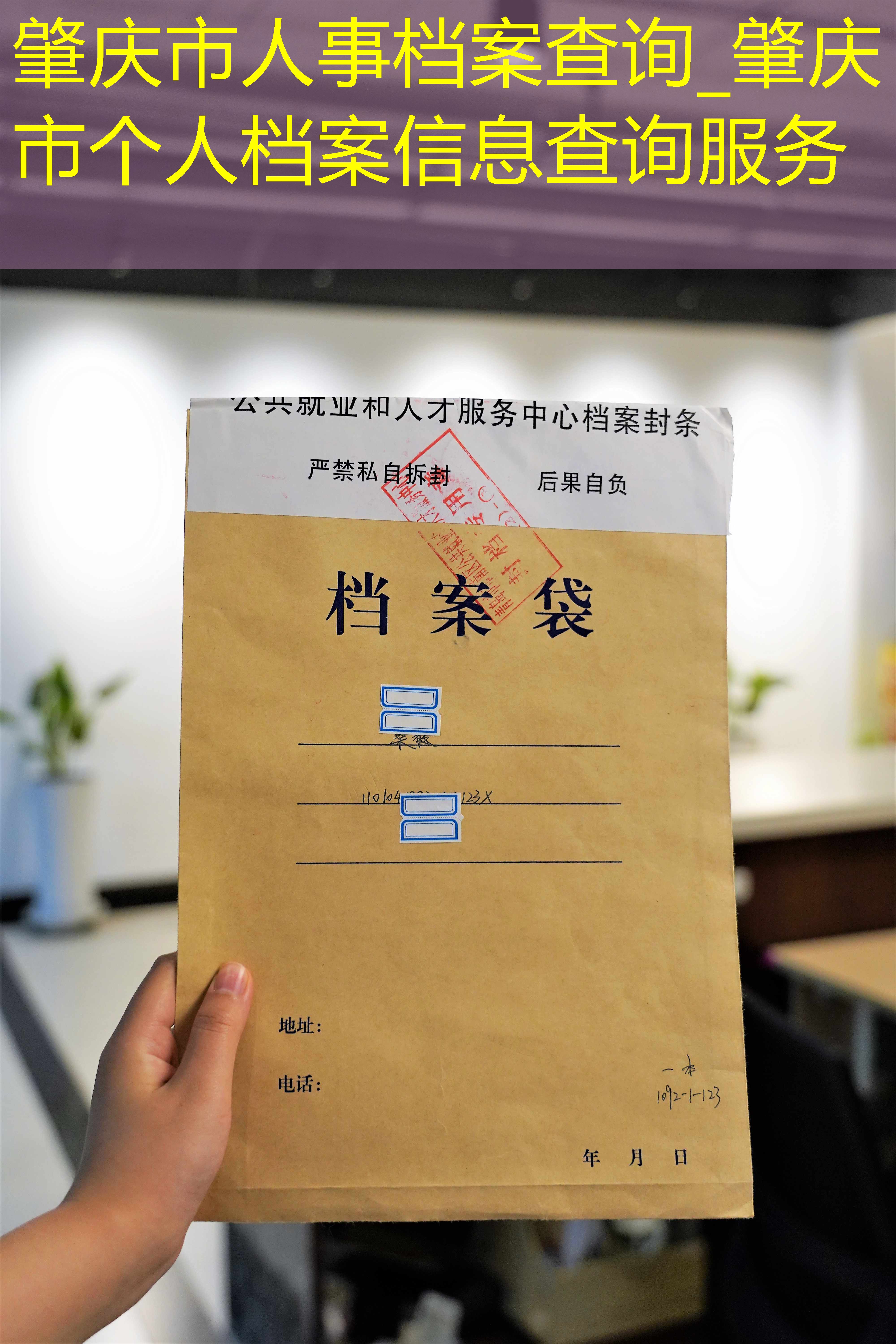 档案查询