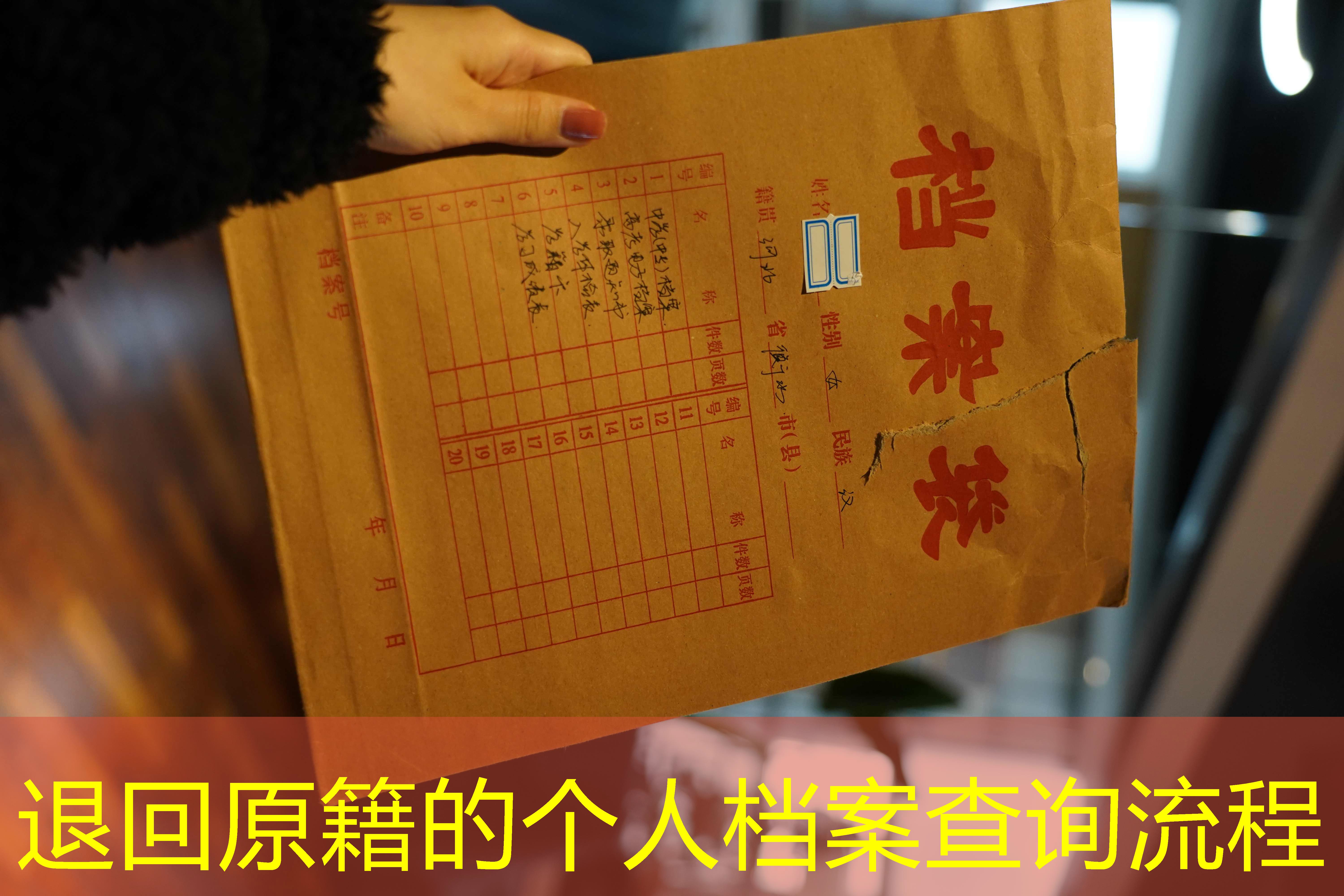 档案查询