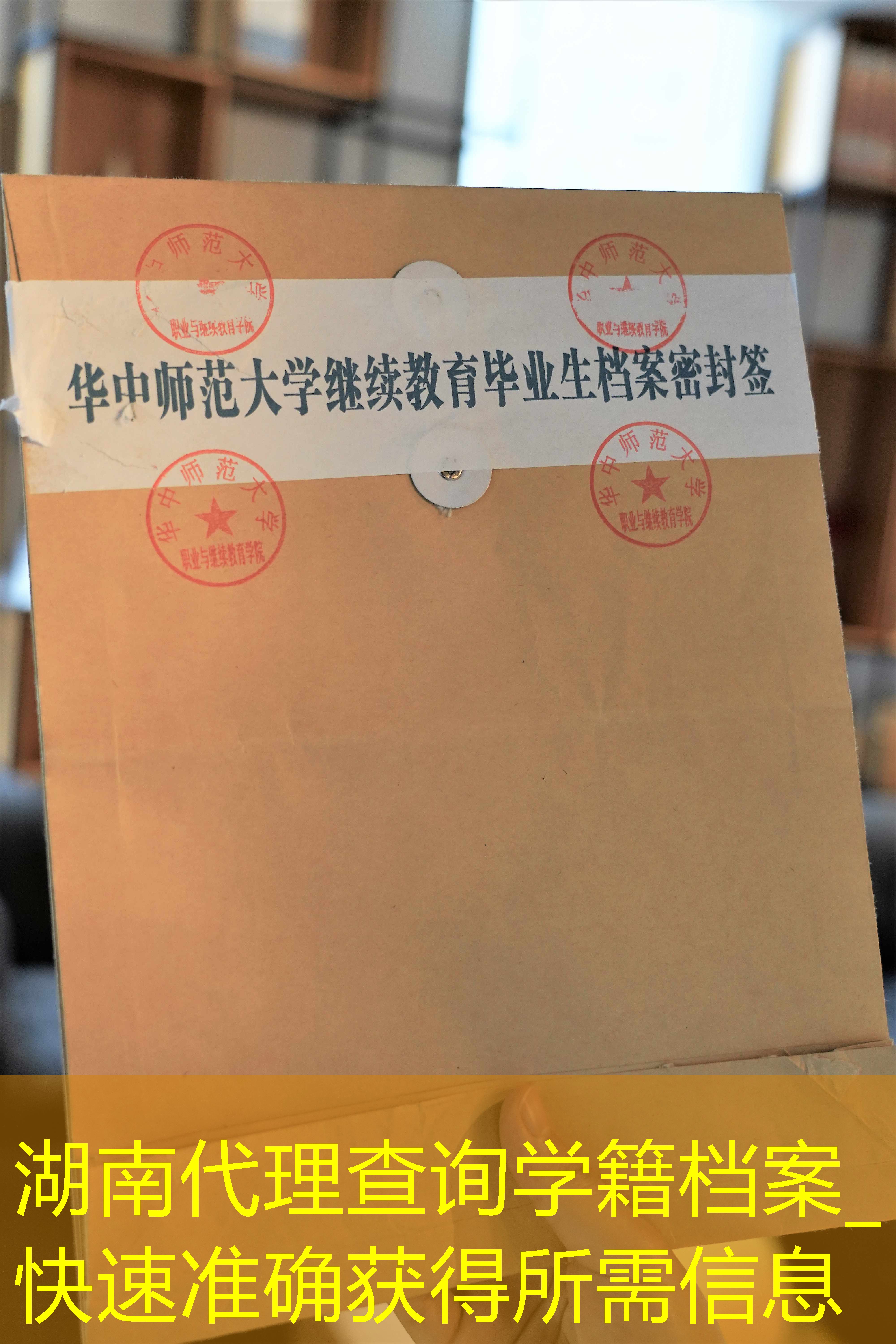 档案查询