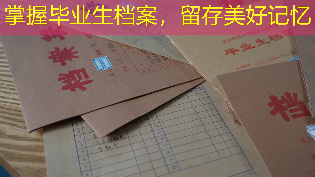 档案查询