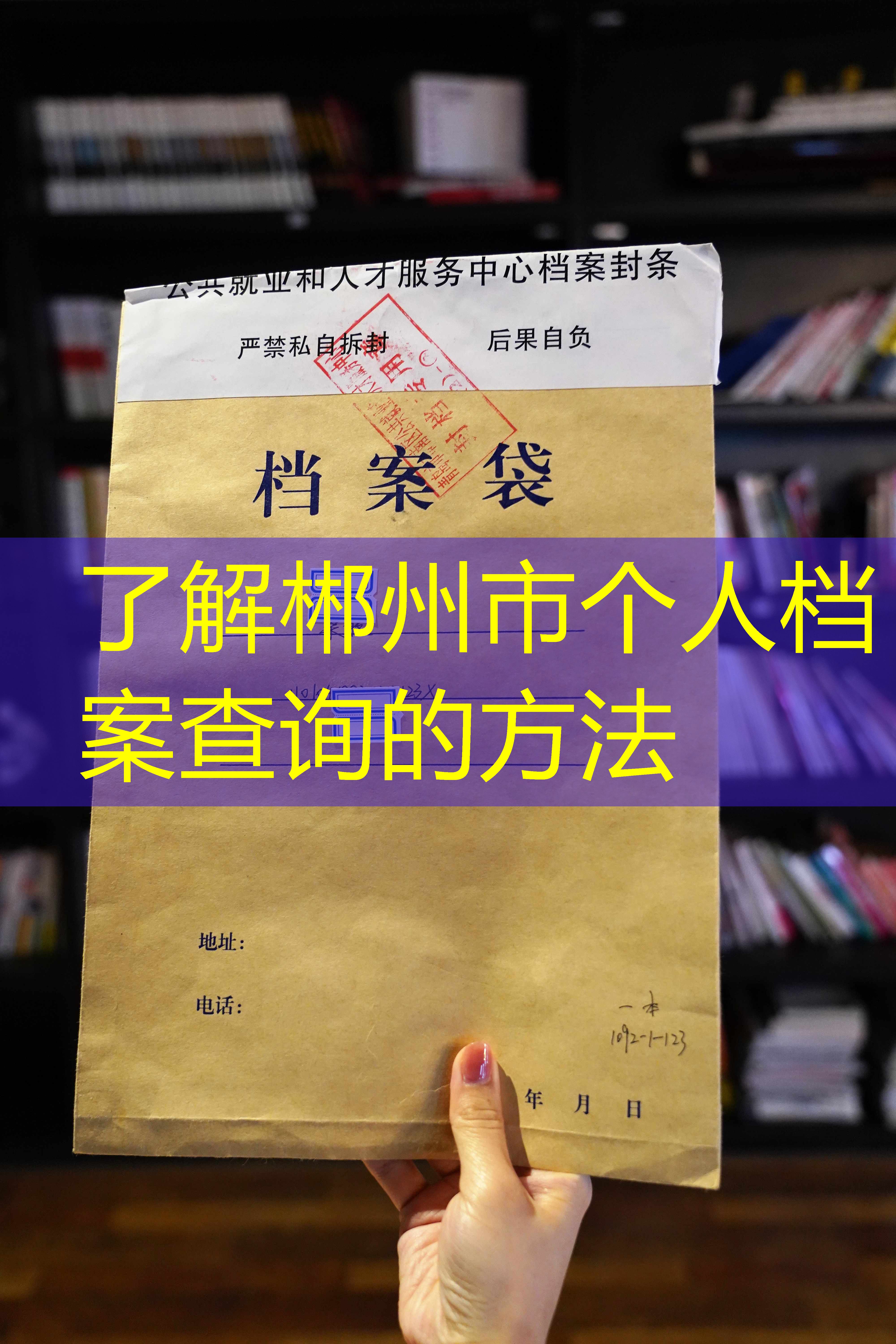 档案查询