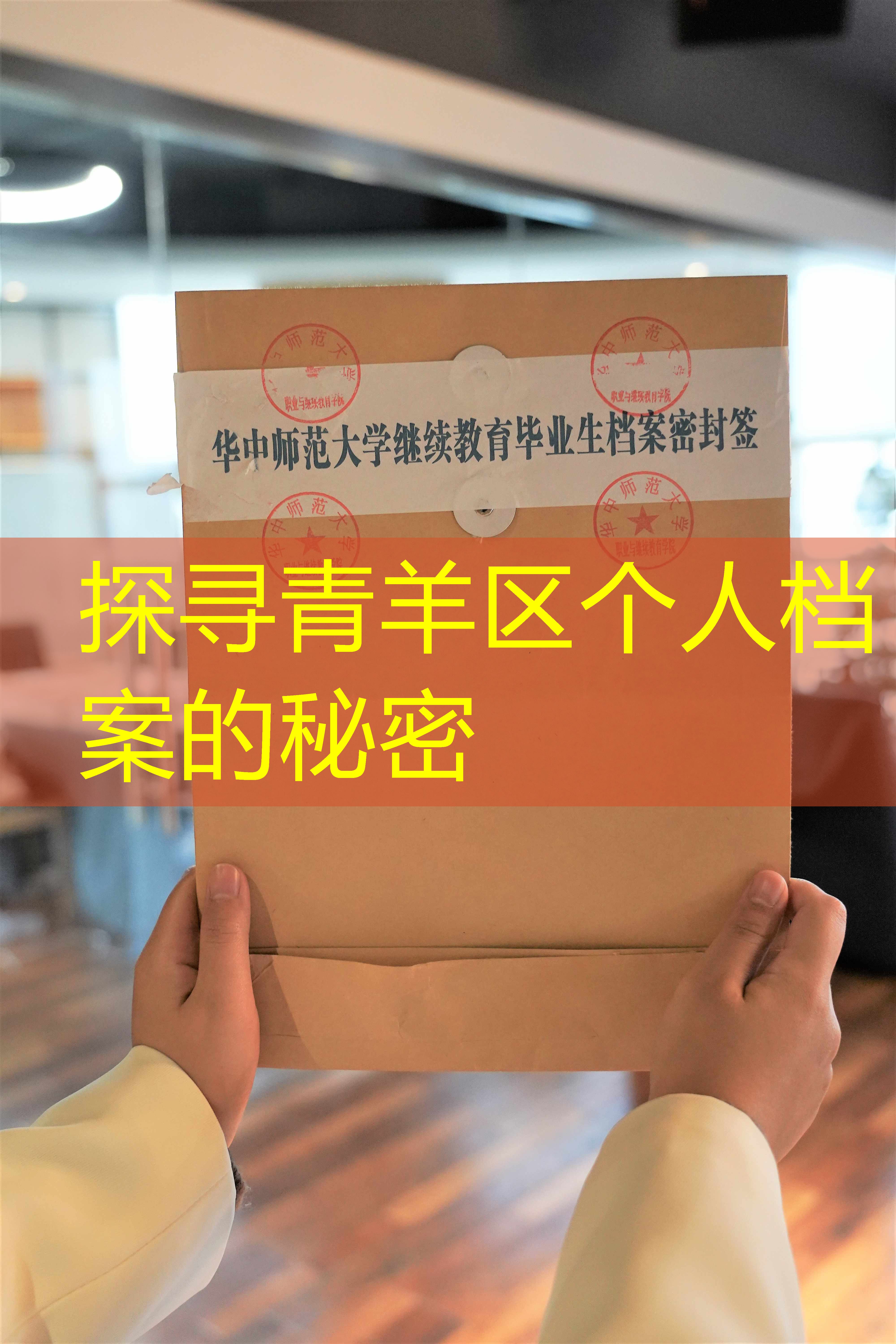 档案查询
