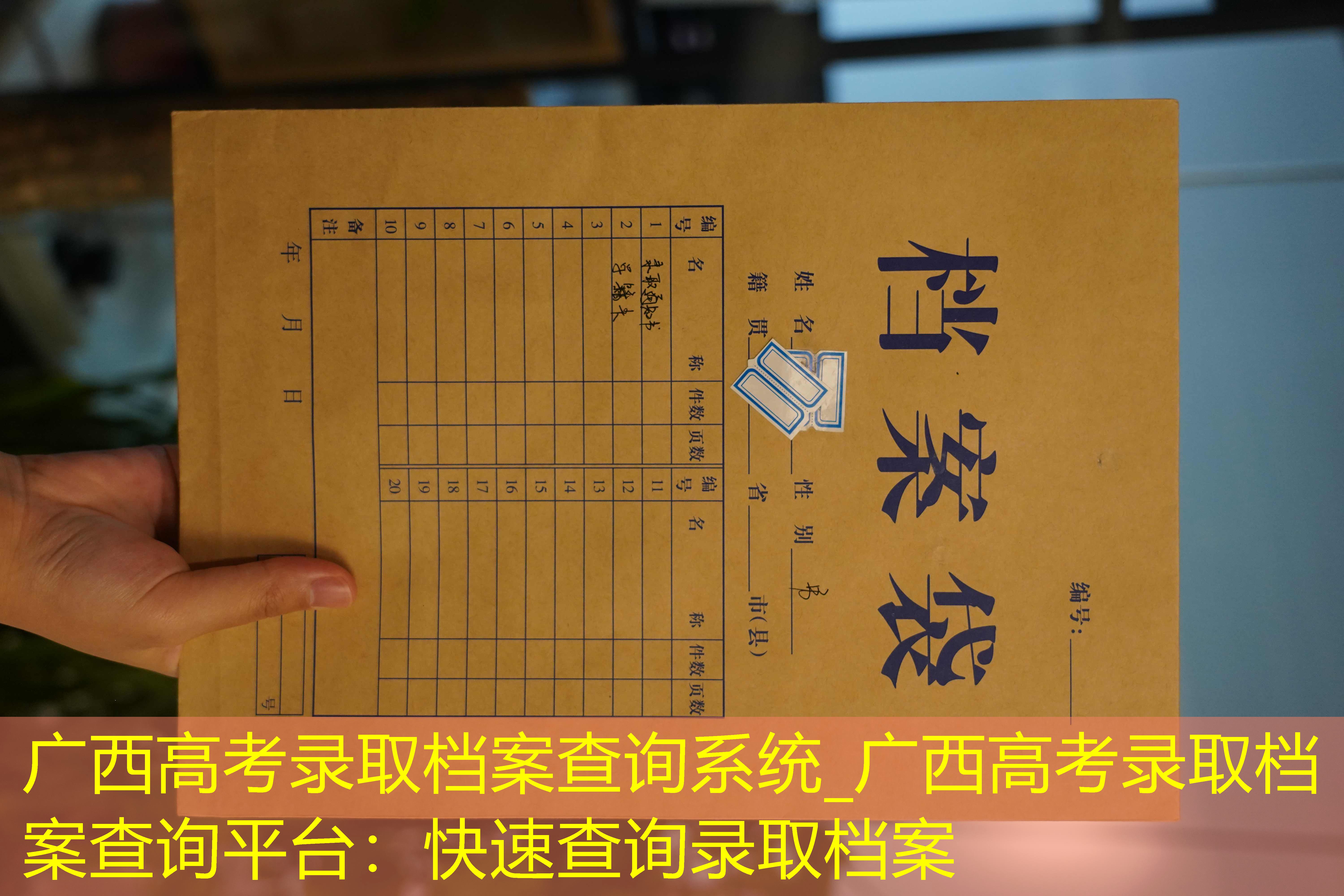 档案查询