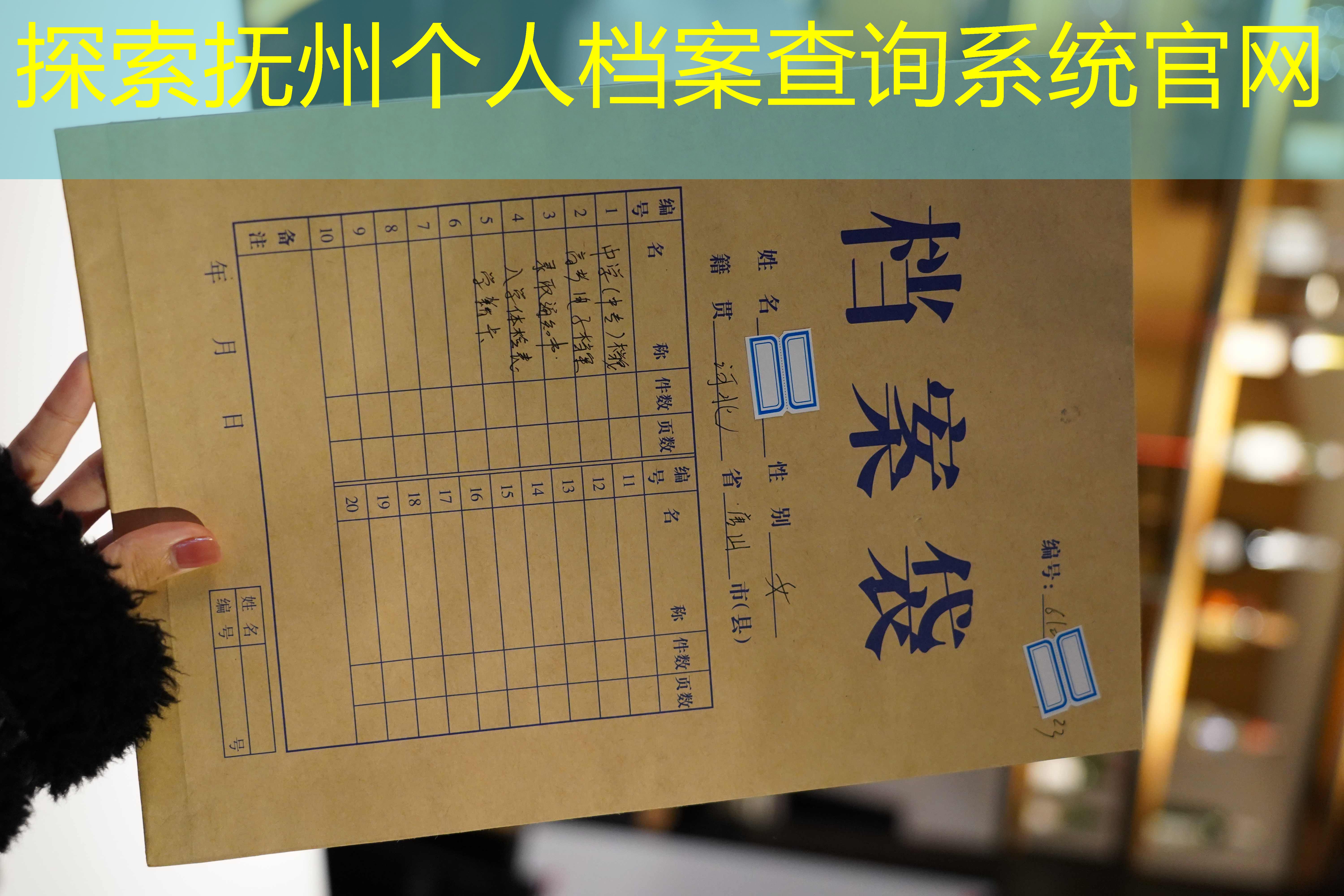 档案查询