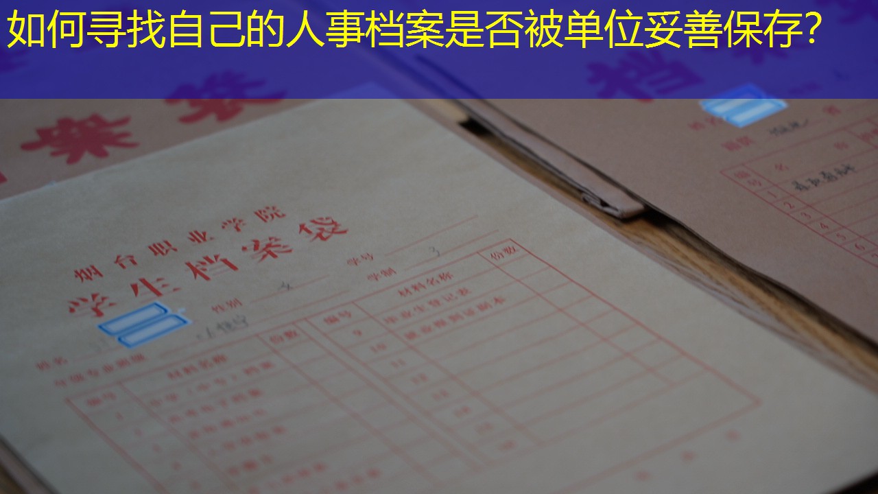 档案查询