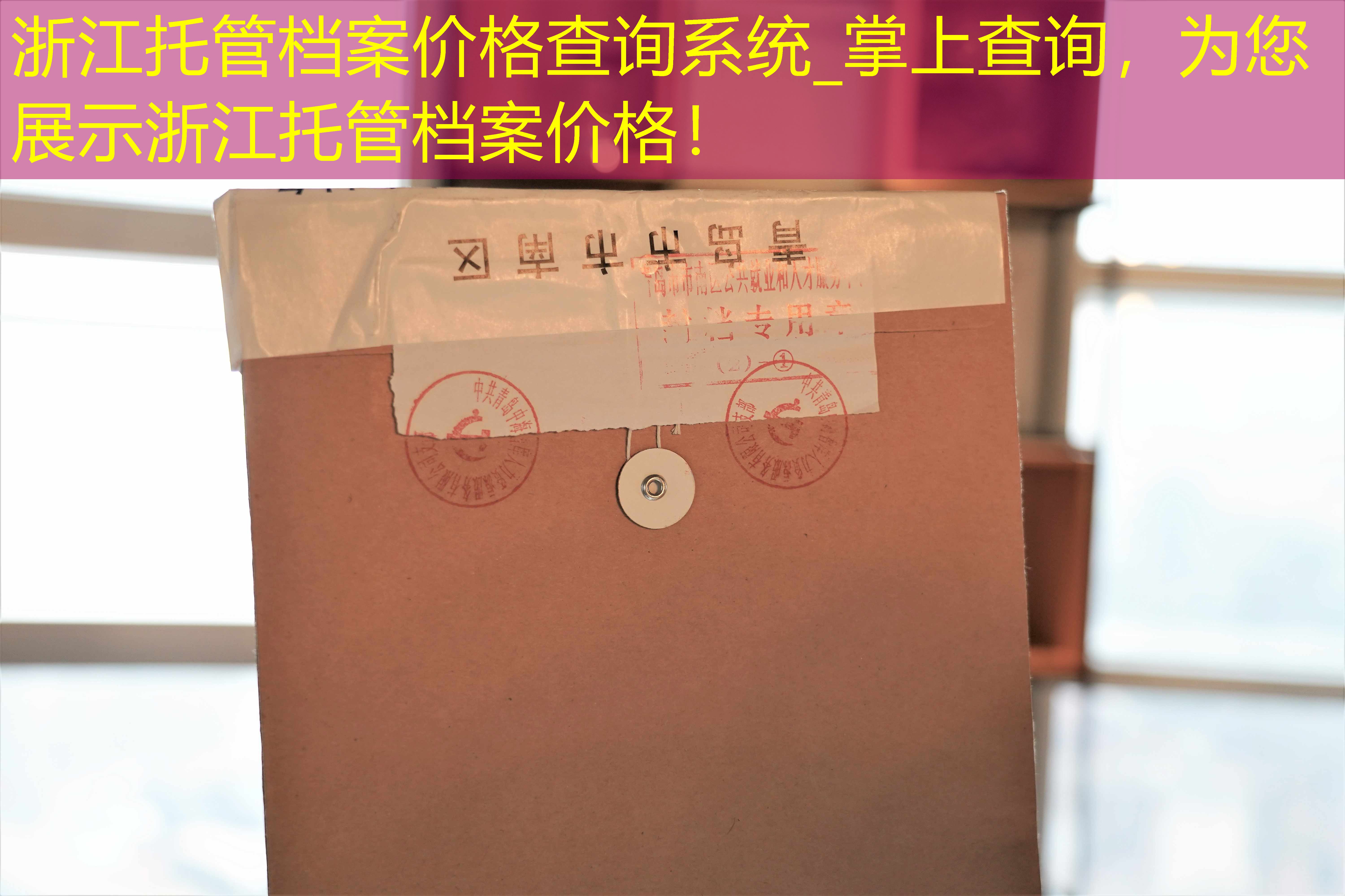档案查询