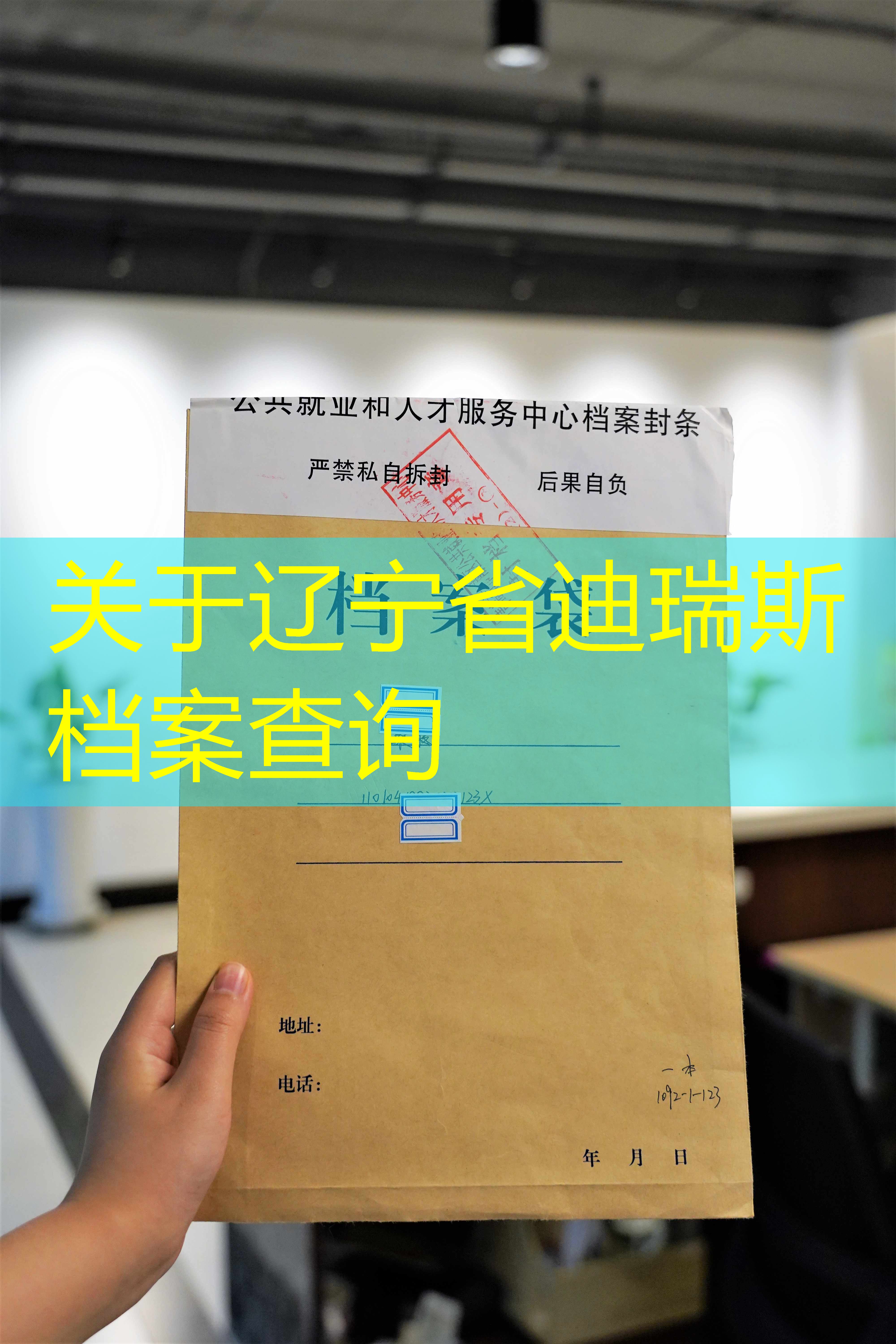 档案查询