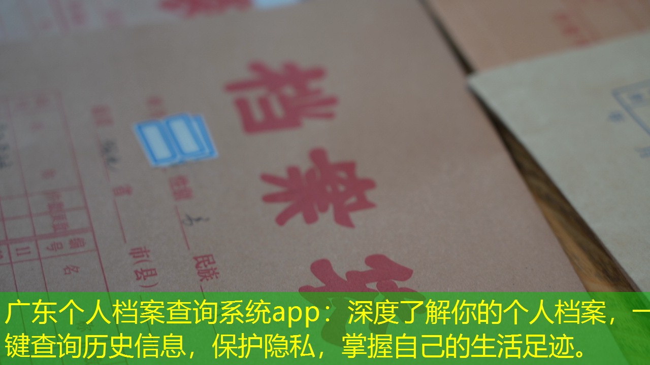 档案查询