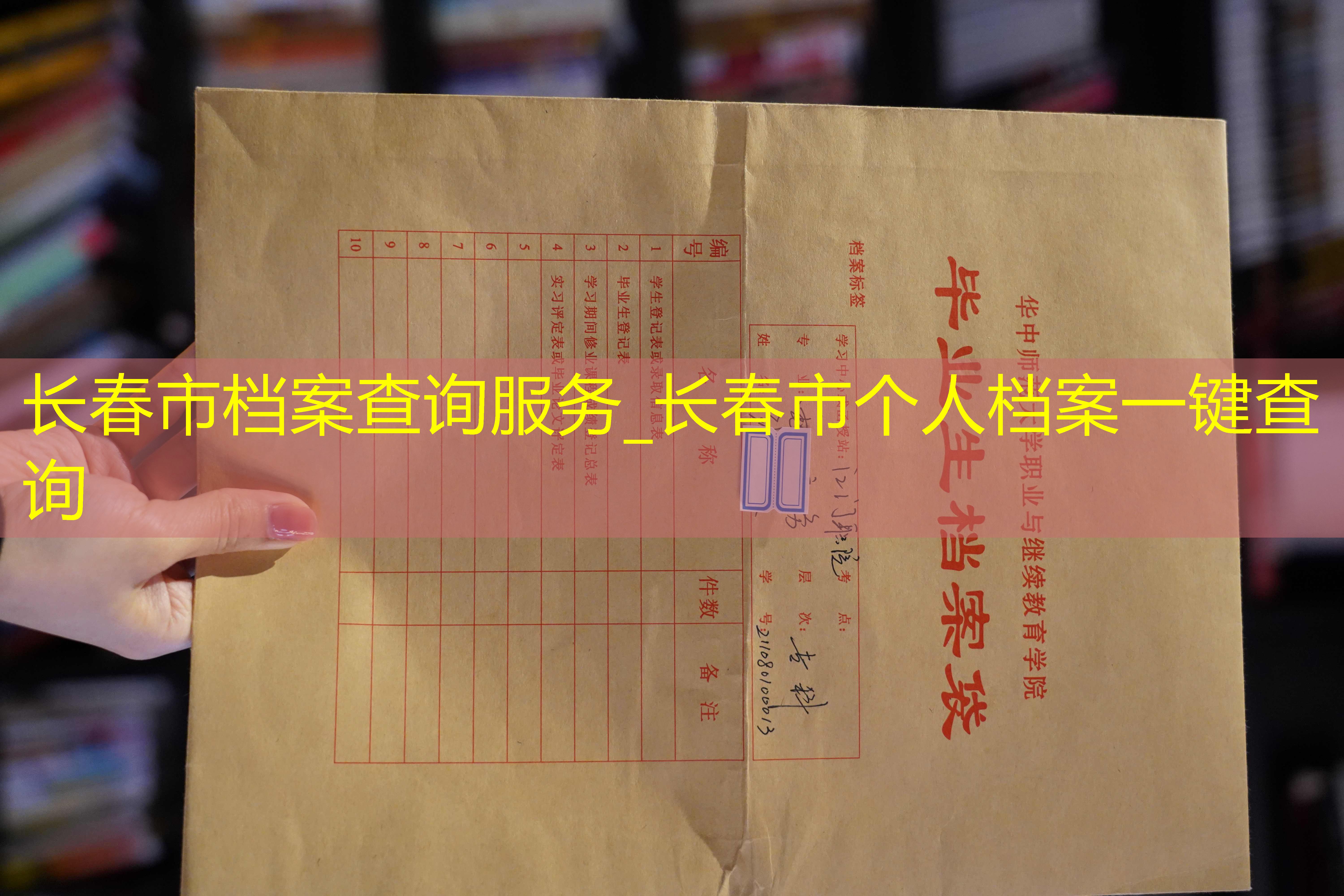 档案查询