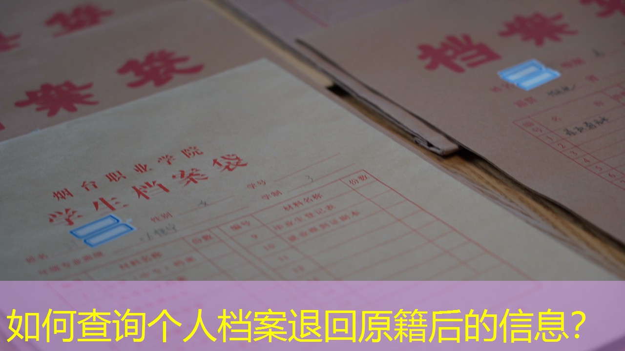 档案查询