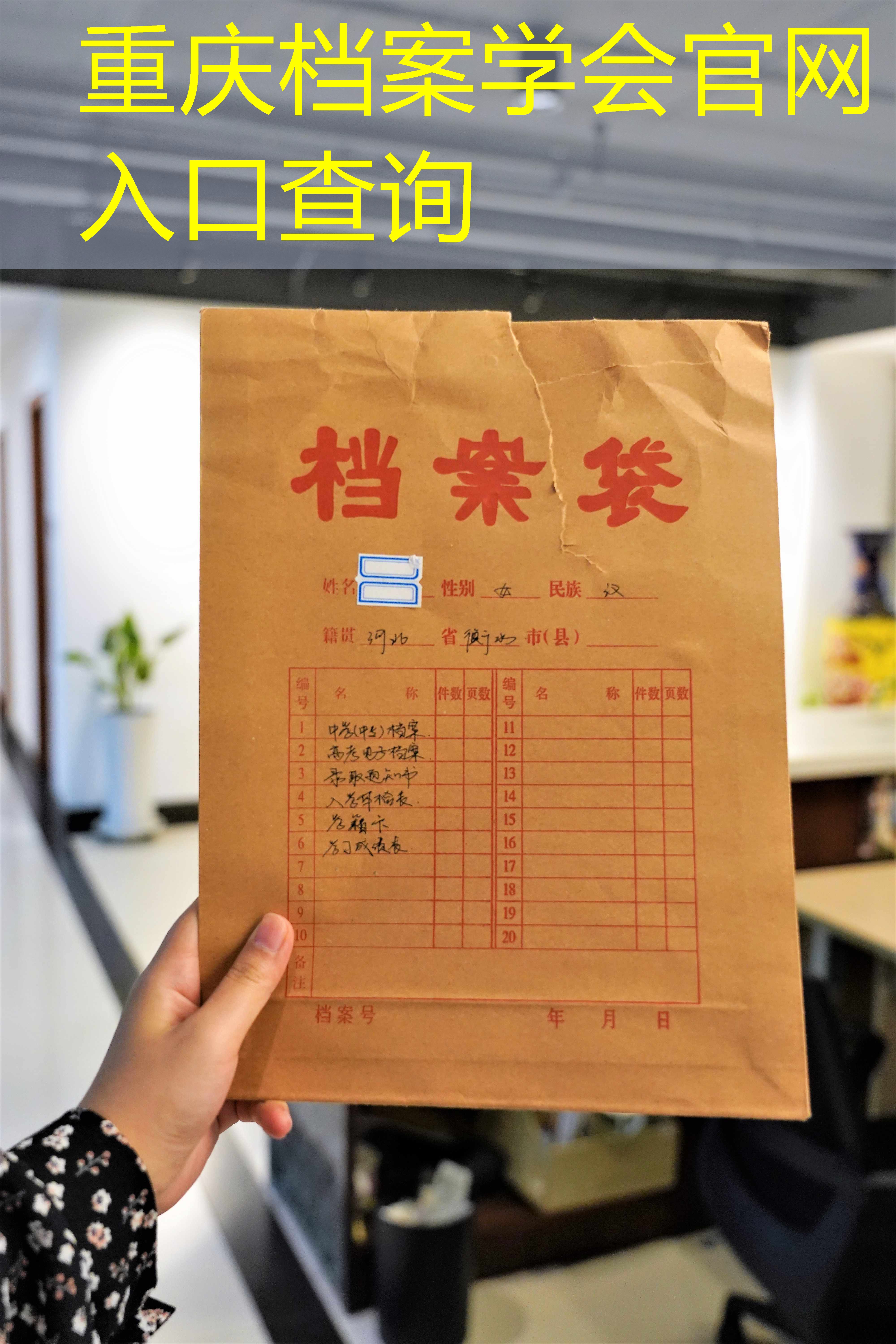 档案查询