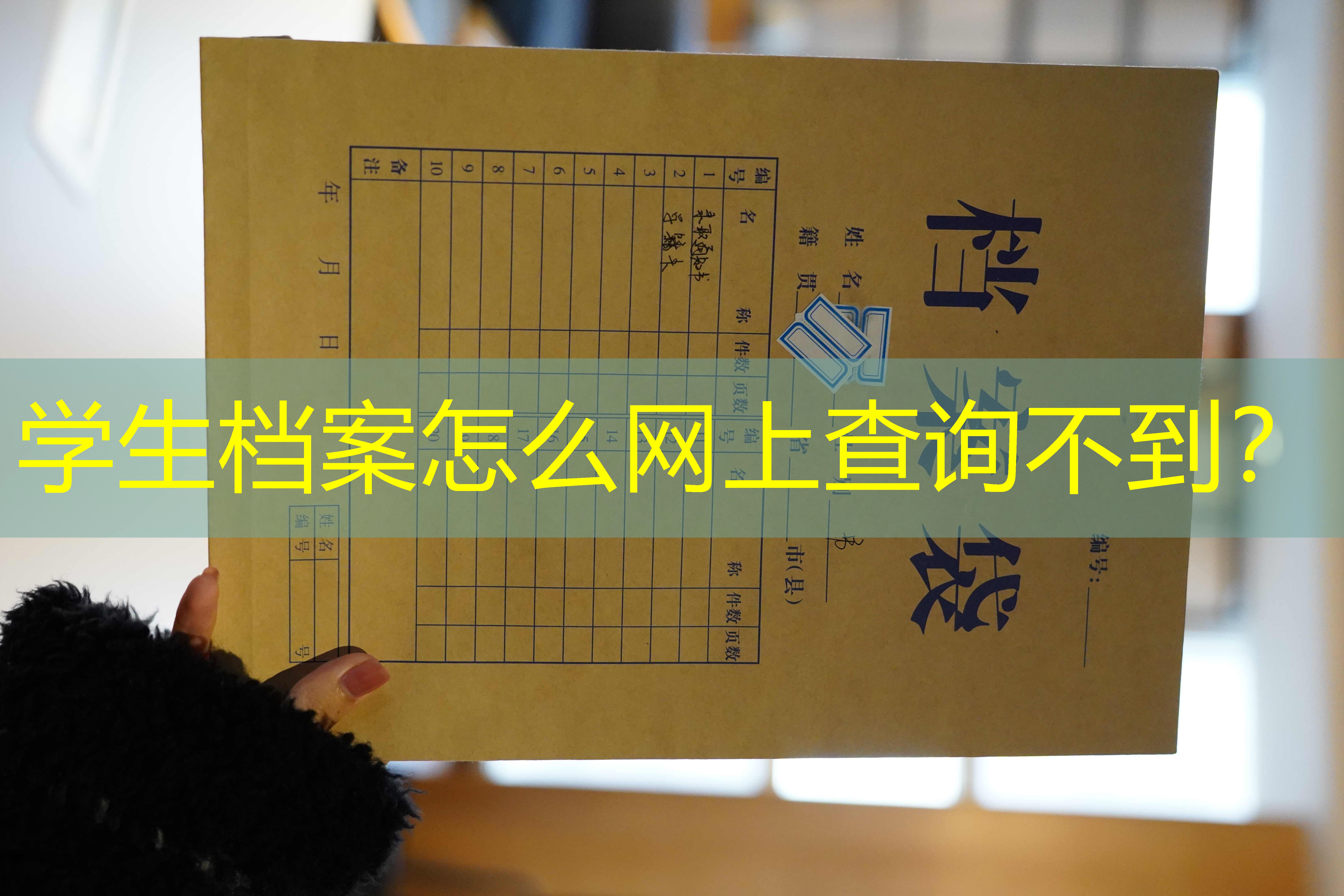 档案查询
