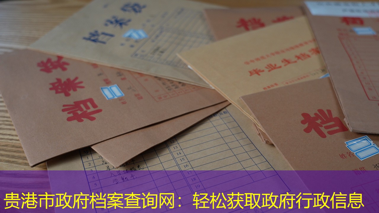 档案查询