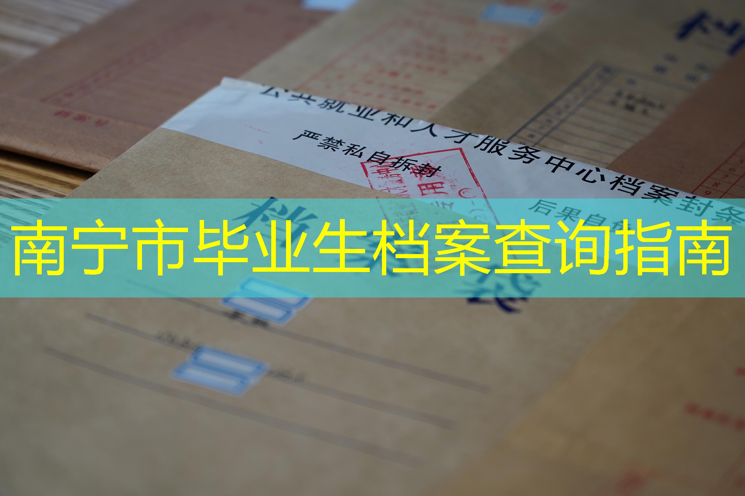 档案查询