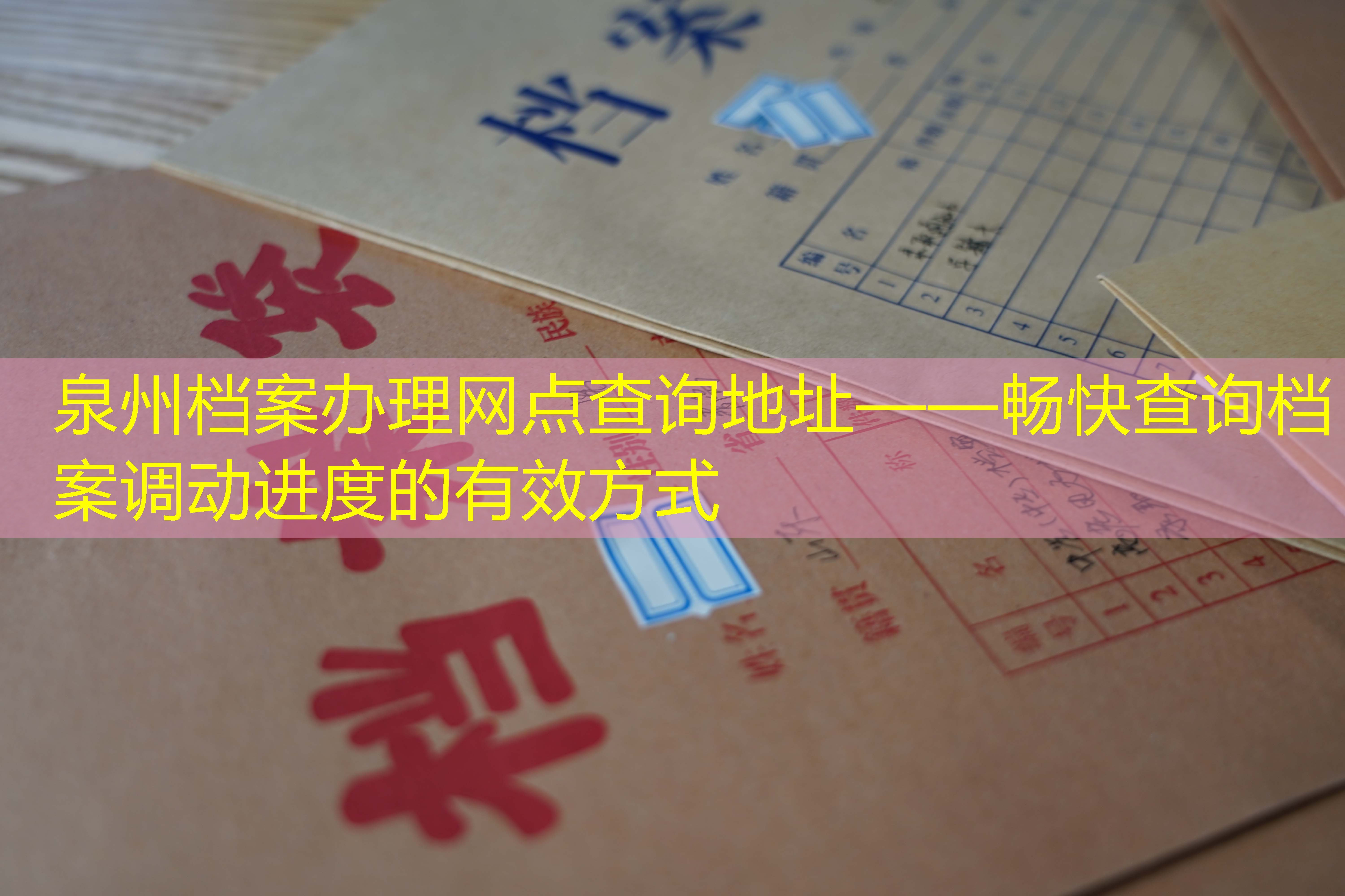 档案查询