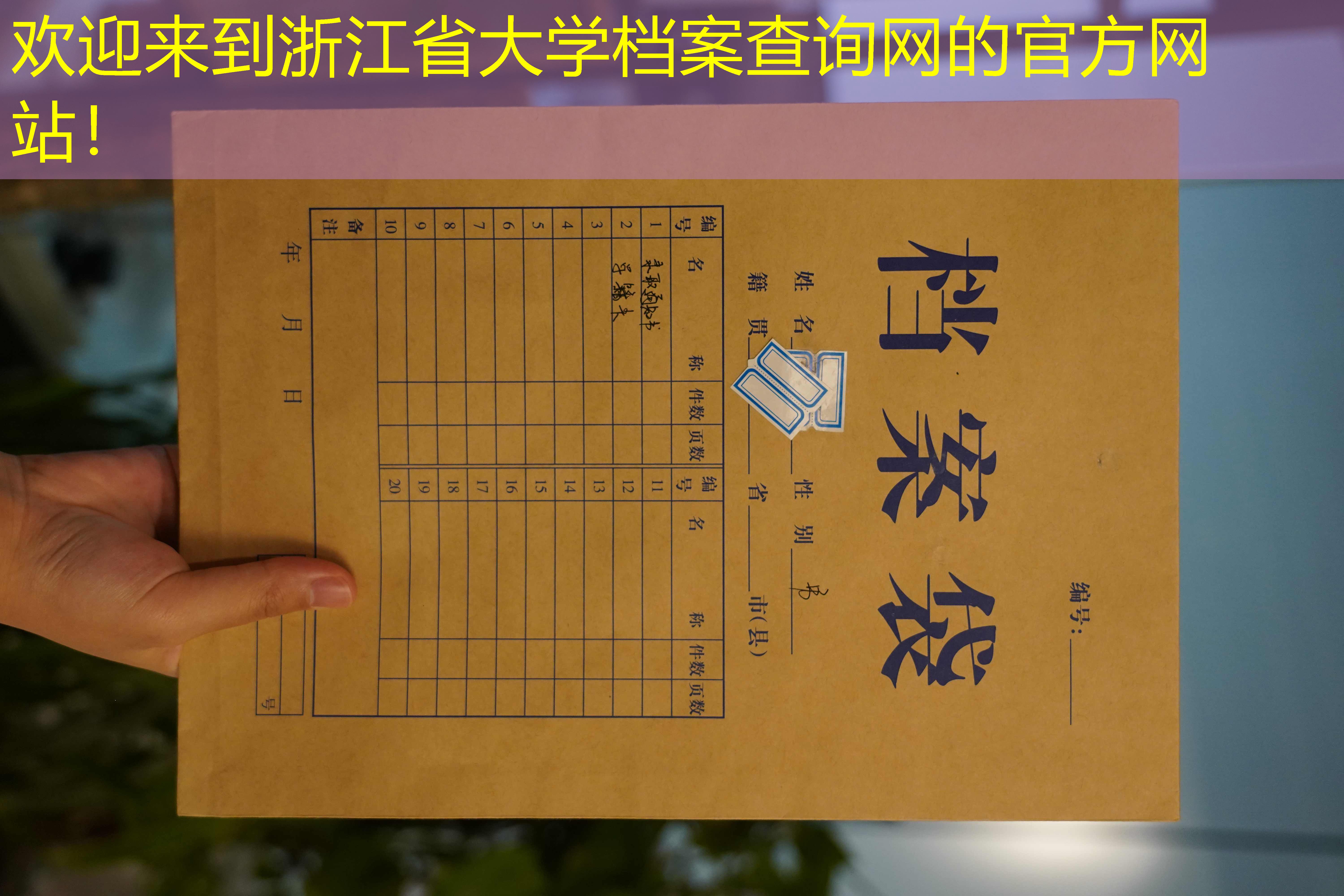 档案查询