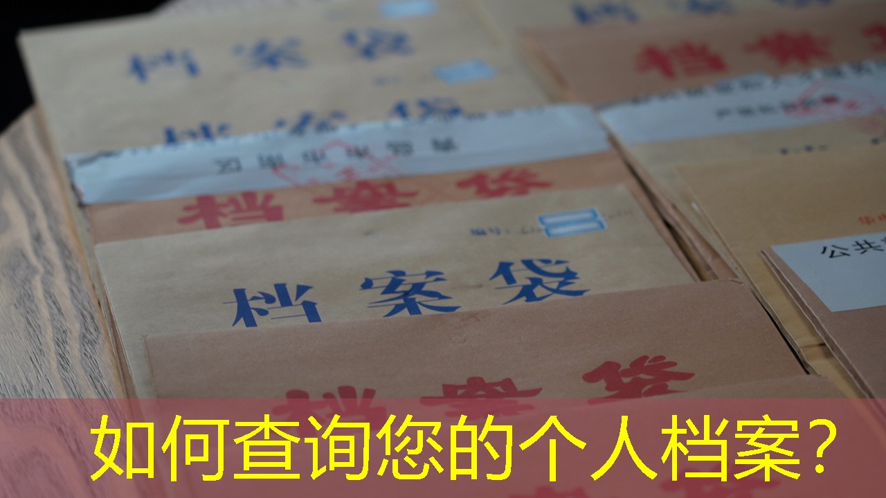 档案查询