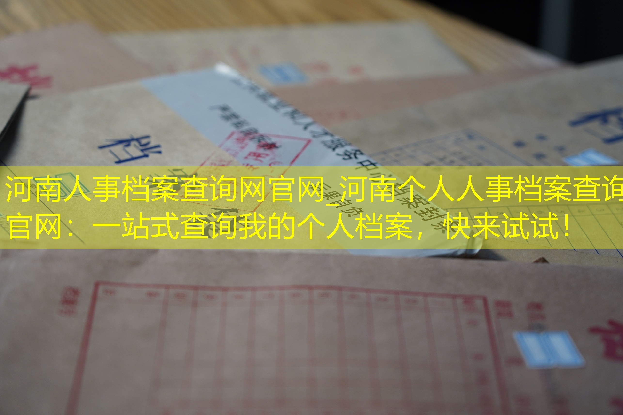 档案查询