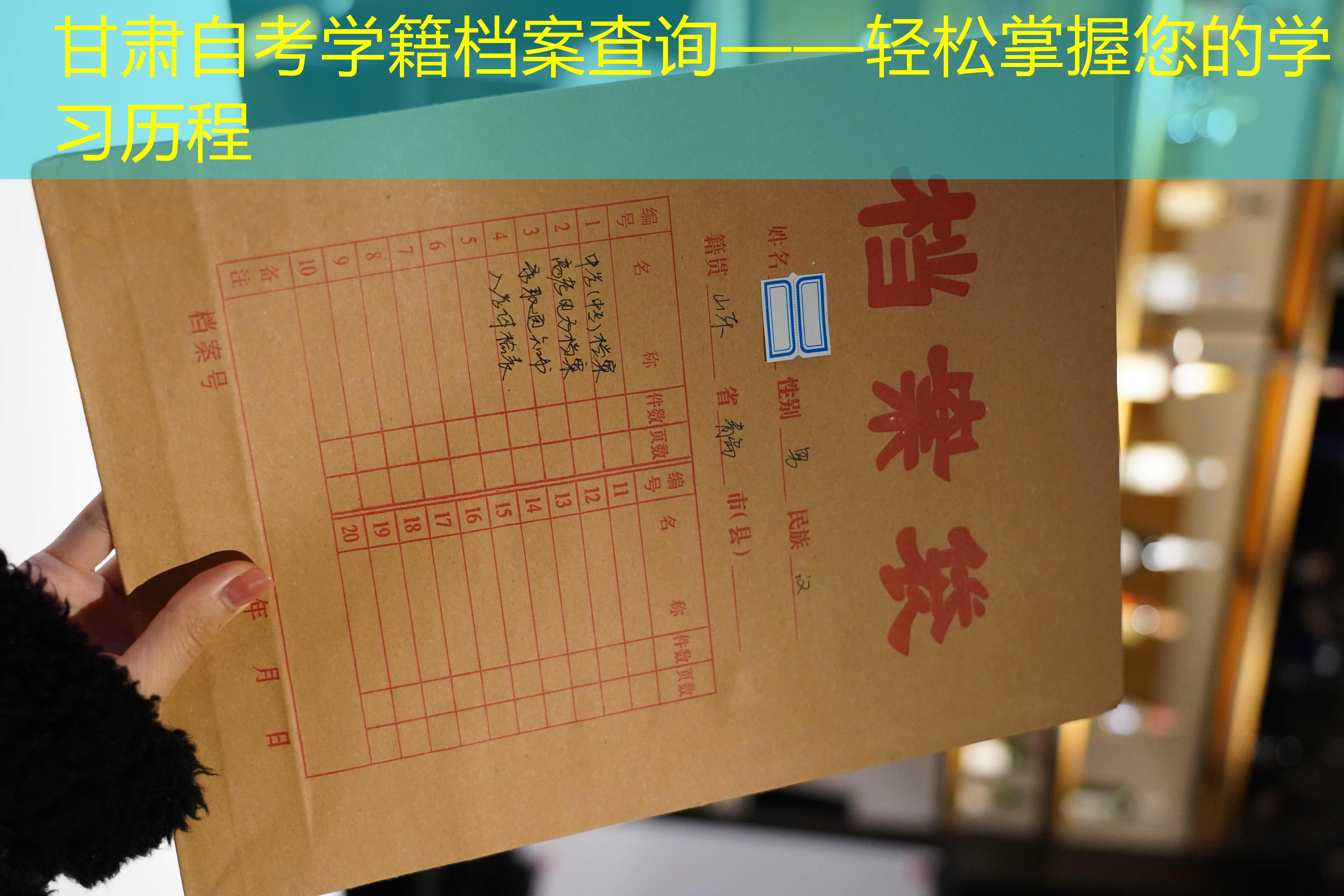 档案查询