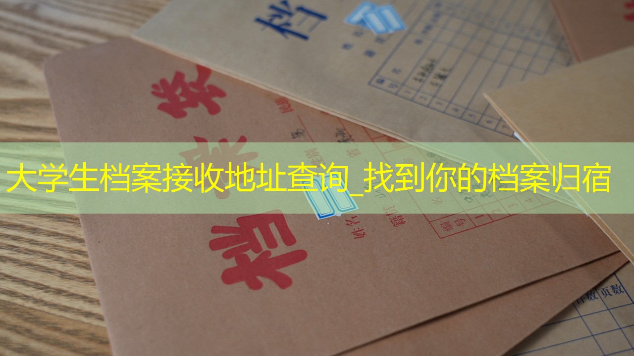 档案查询