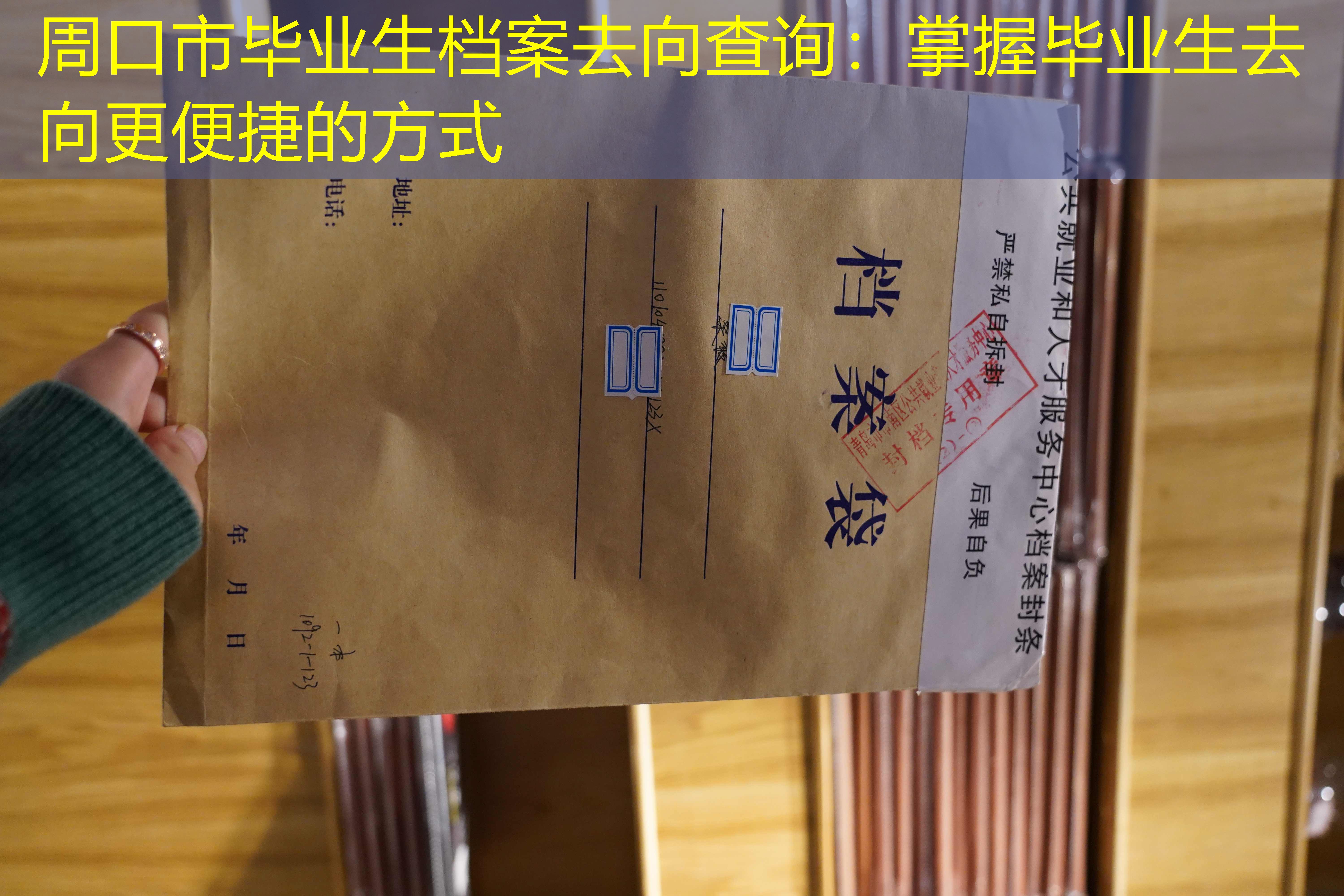 档案查询
