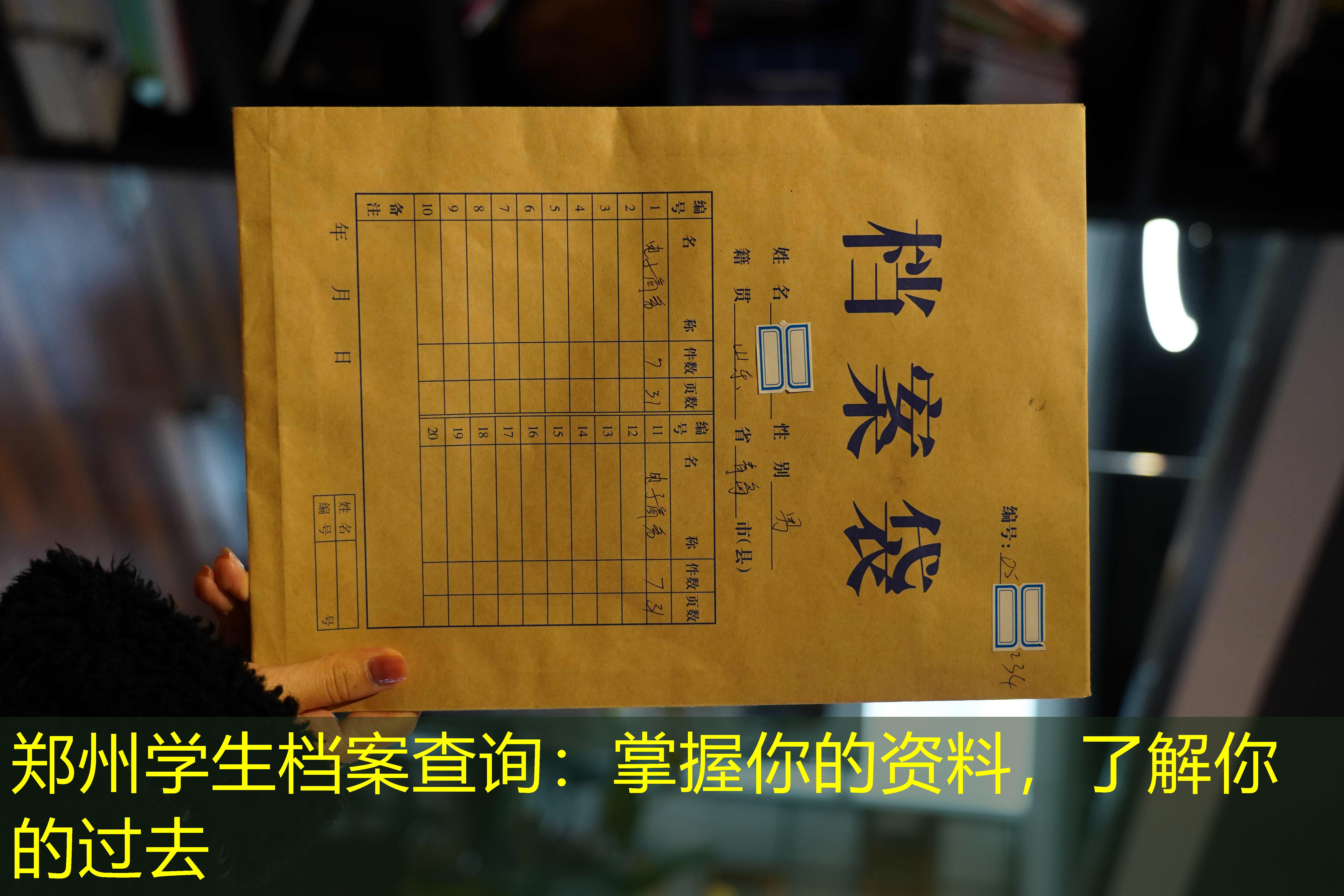 档案查询