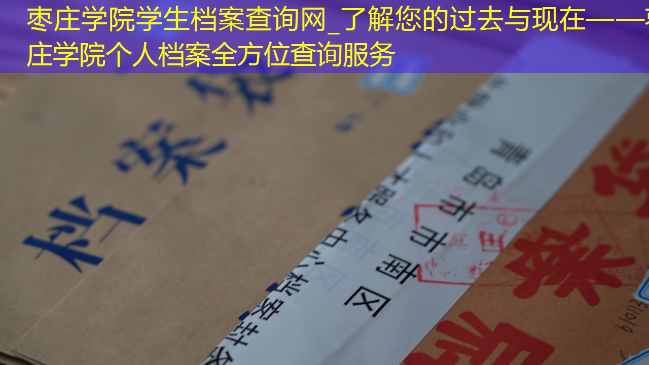 档案查询