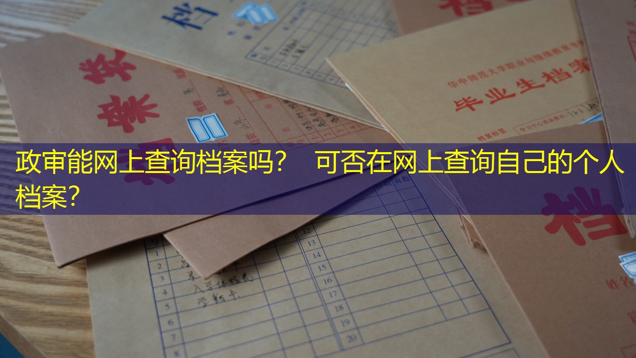 档案查询