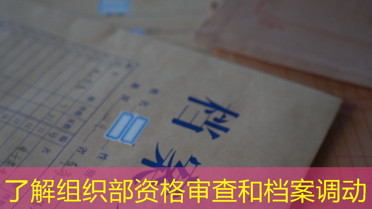 档案查询