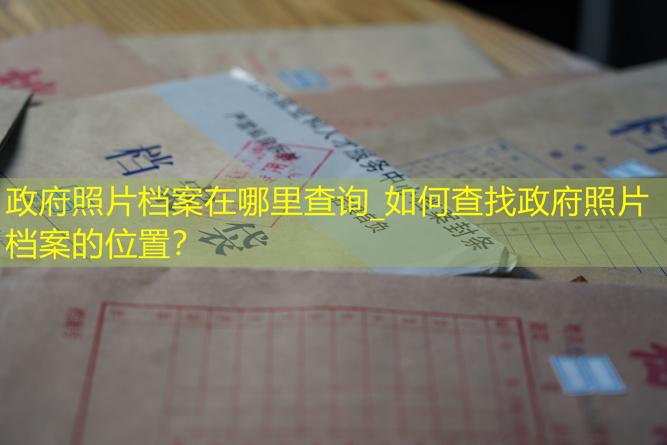 档案查询