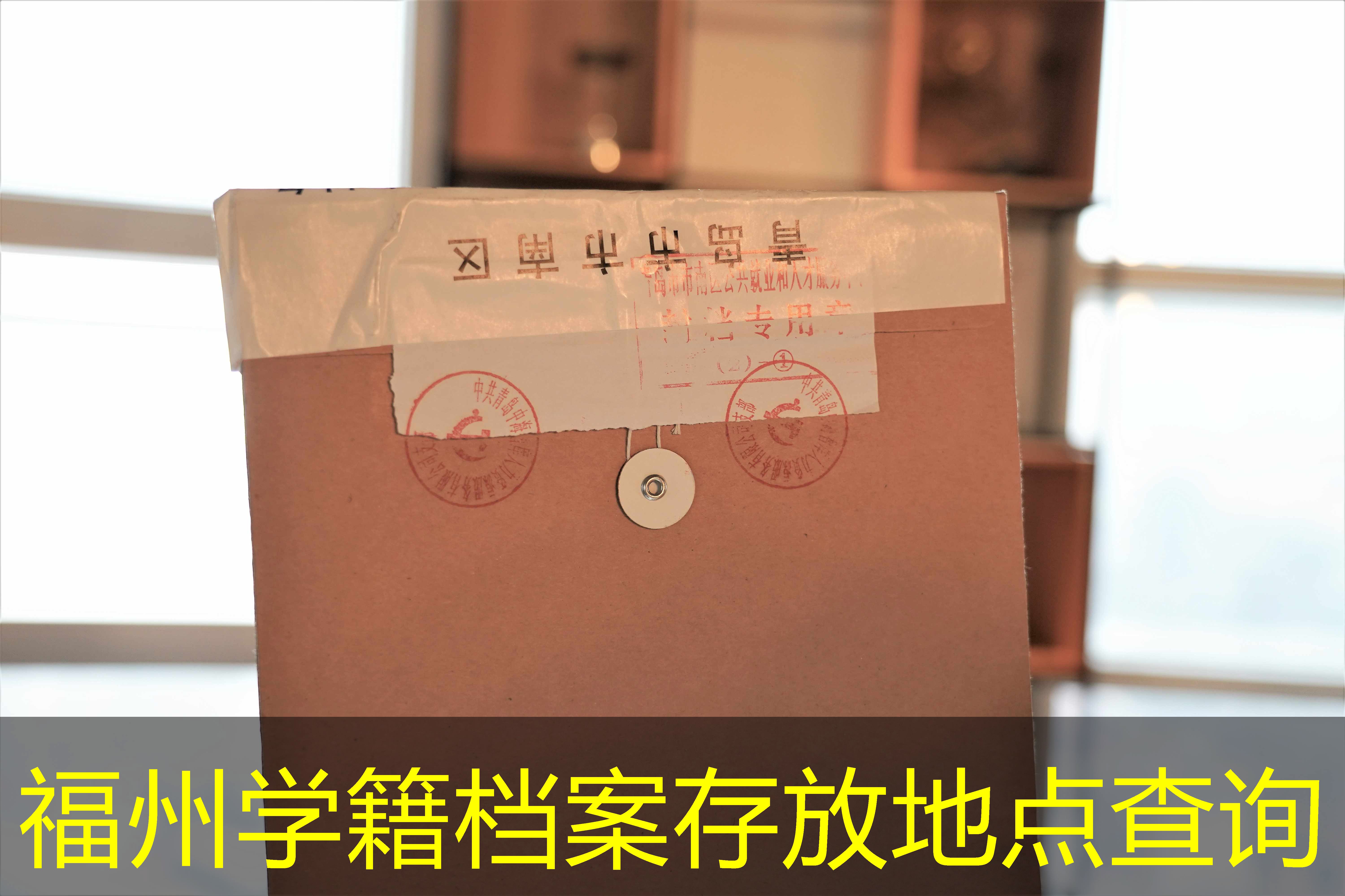 档案查询