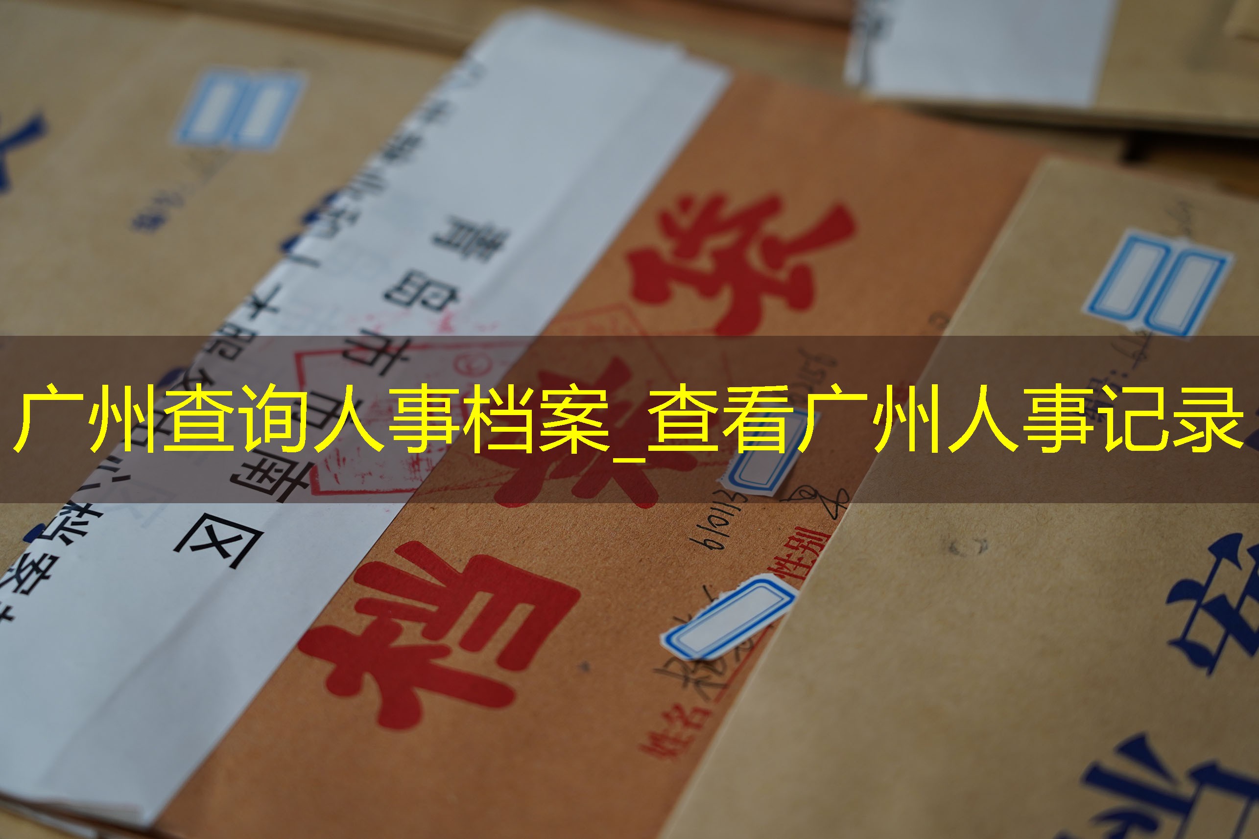 档案查询